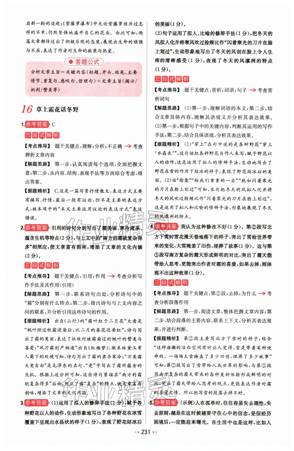 2026年一本中考现代文阅读技能训练100篇 第21页