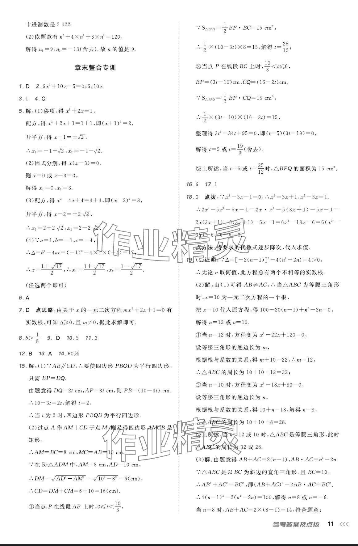 2024年点拨训练九年级数学上册人教版 参考答案第10页