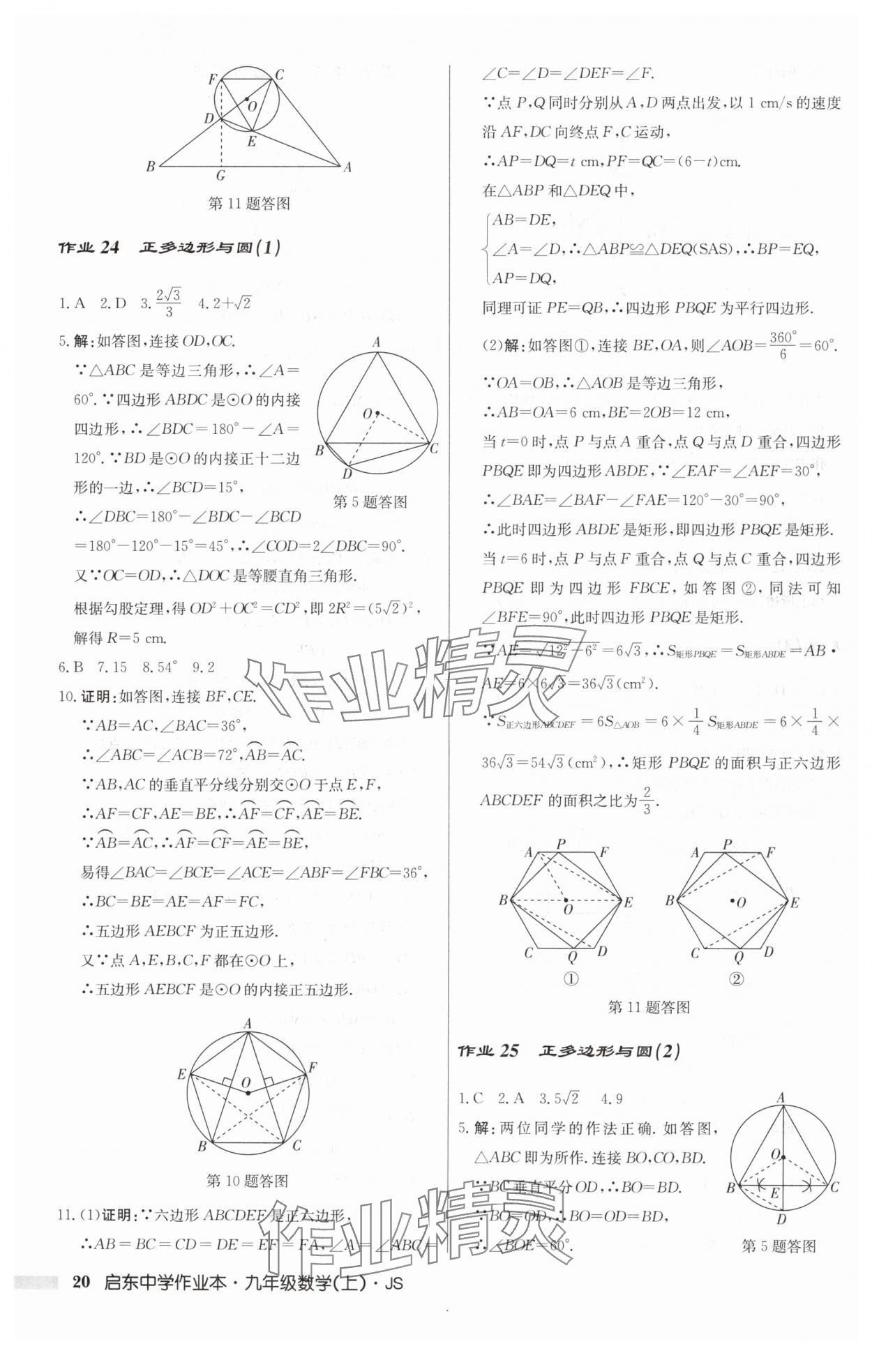 2024年启东中学作业本九年级数学上册苏科版 第20页