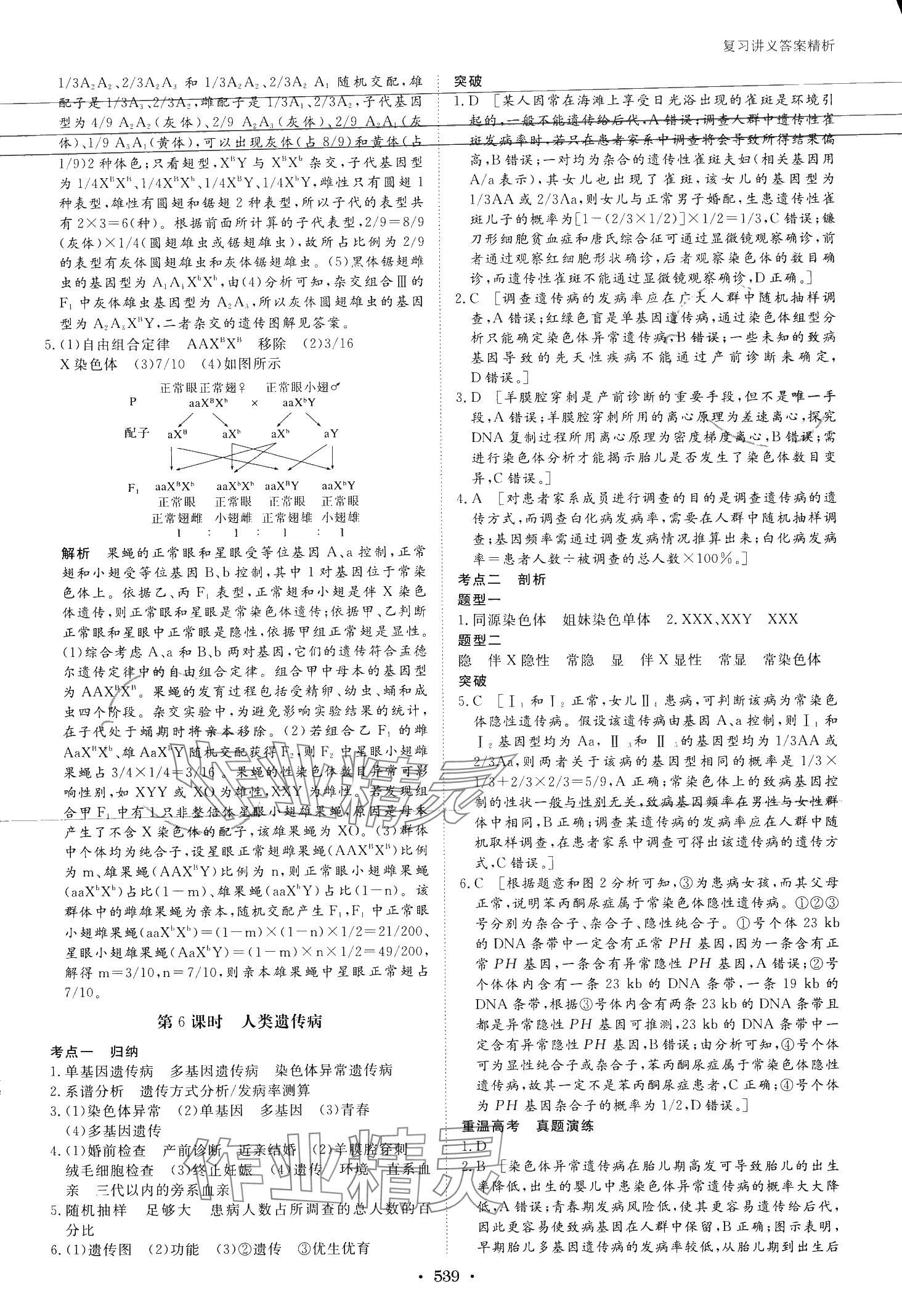 2024年步步高大一輪復(fù)習(xí)講義高中生物浙科版 第29頁