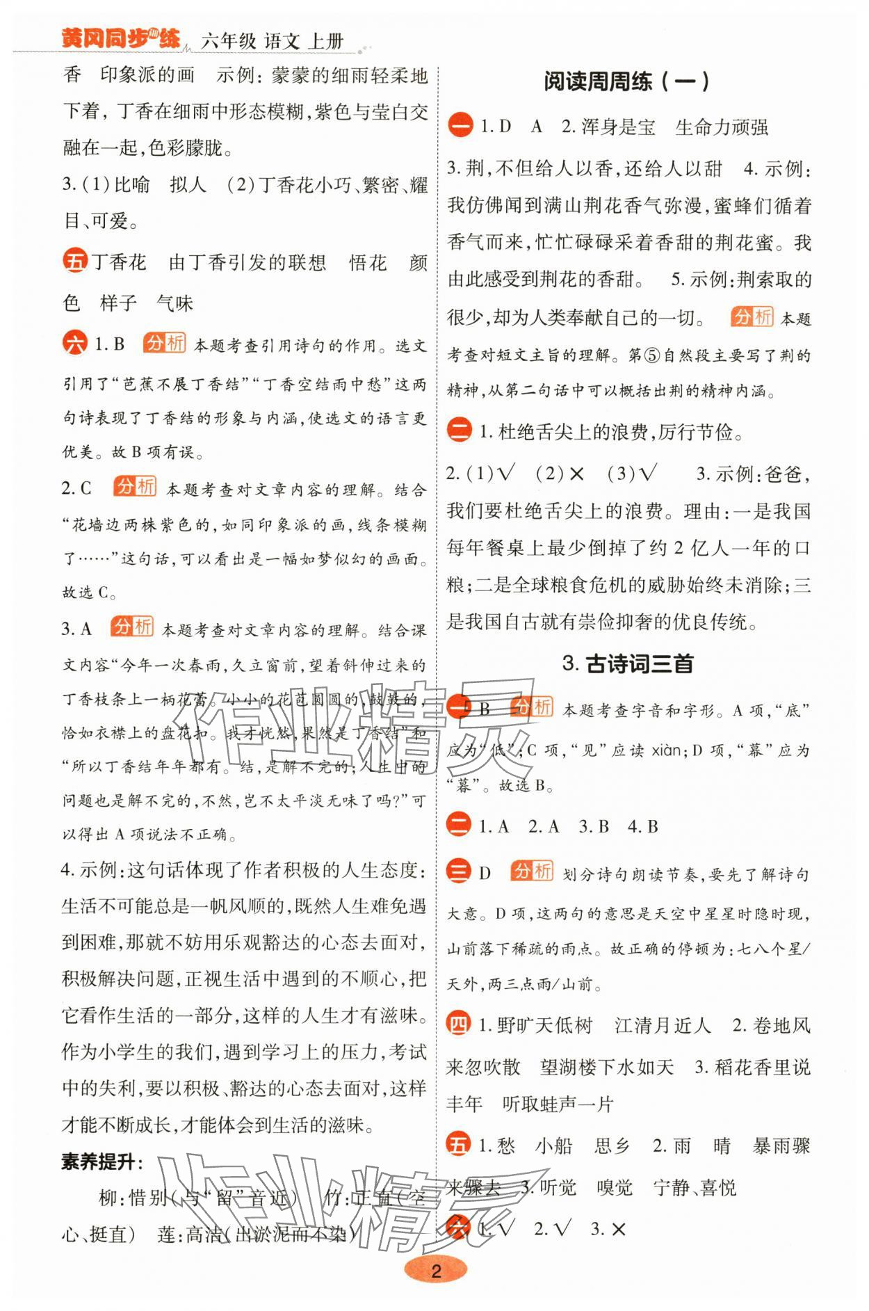 2025年黄冈同步训练六年级语文上册人教版 参考答案第2页