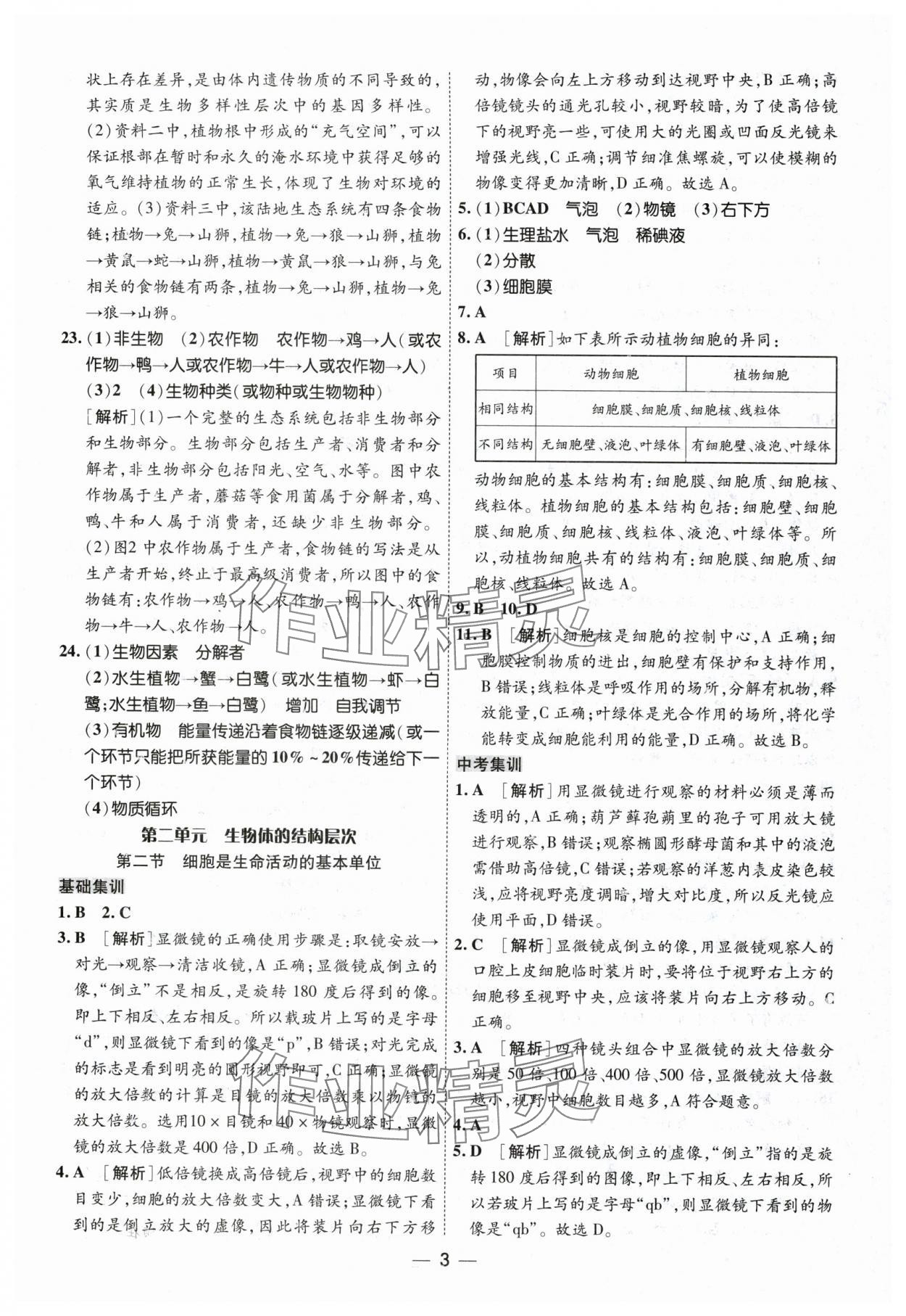 2024年中考123基础章节总复习测试卷生物黑龙江专版 第3页