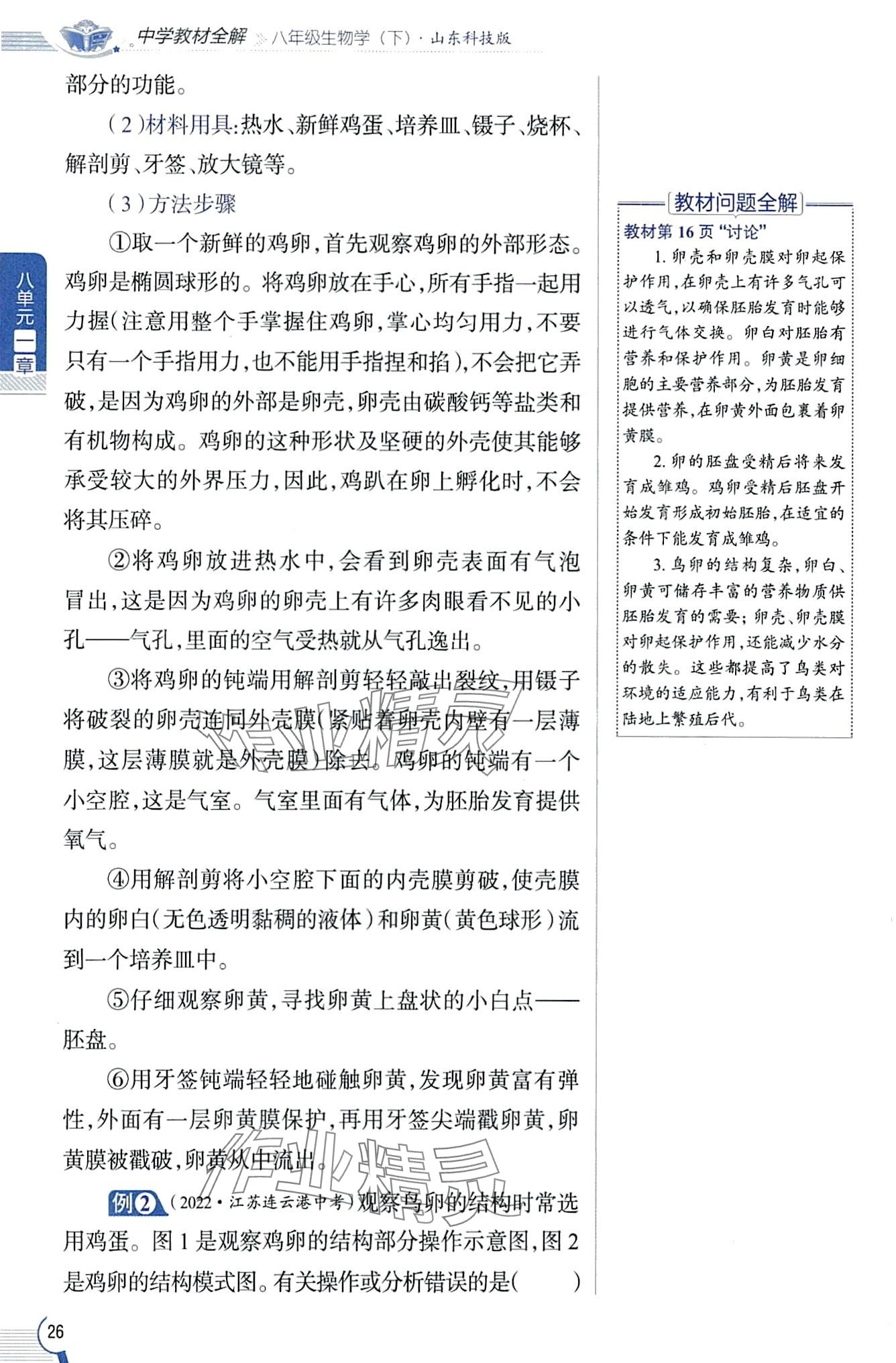 2024年教材課本八年級生物下冊魯科版五四制 第26頁