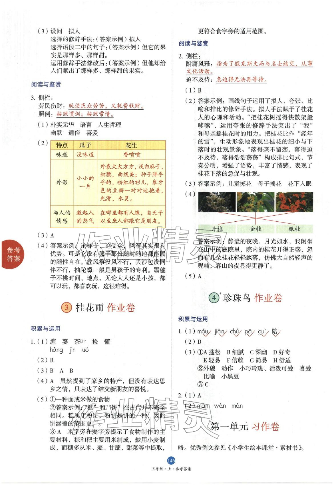 2025年小學(xué)生繪本課堂五年級語文上冊人教版&nbsp;第2頁