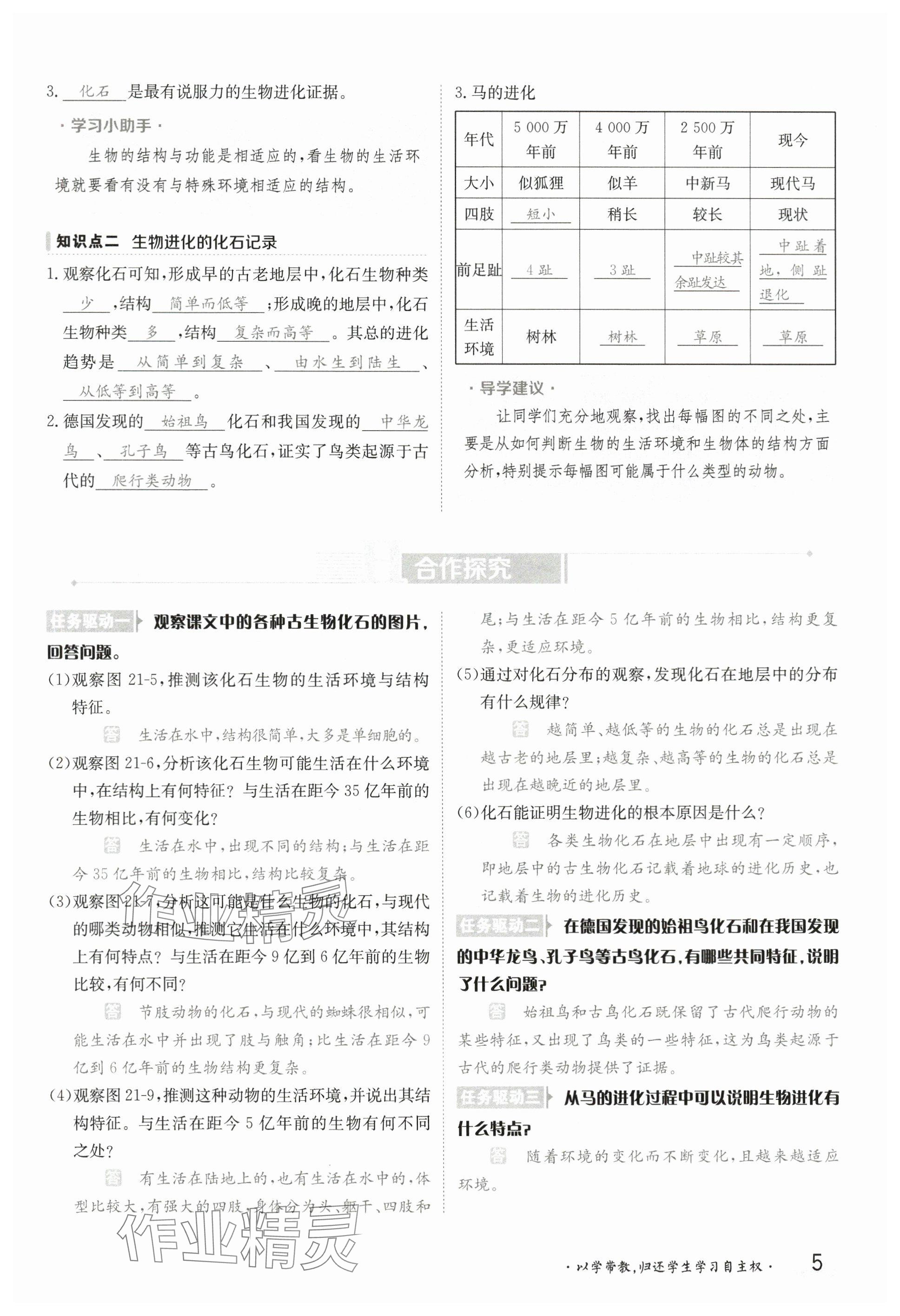 2025年金太陽導(dǎo)學(xué)案八年級(jí)生物下冊(cè)北師大版 參考答案第4頁