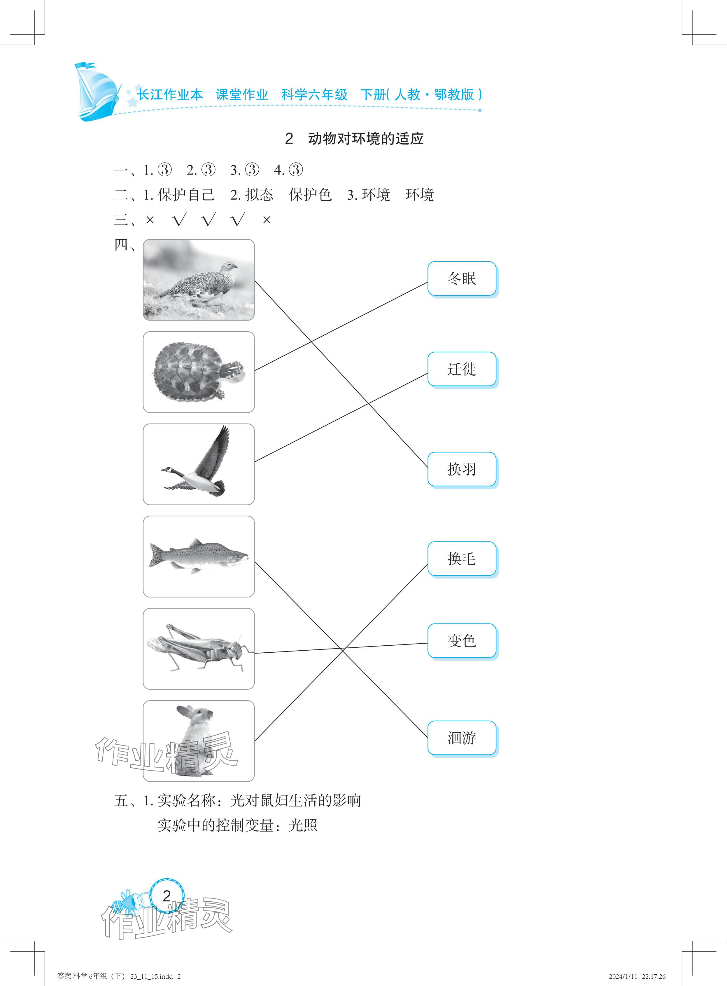 2024年長江作業(yè)本課堂作業(yè)六年級科學下冊鄂教版 參考答案第2頁