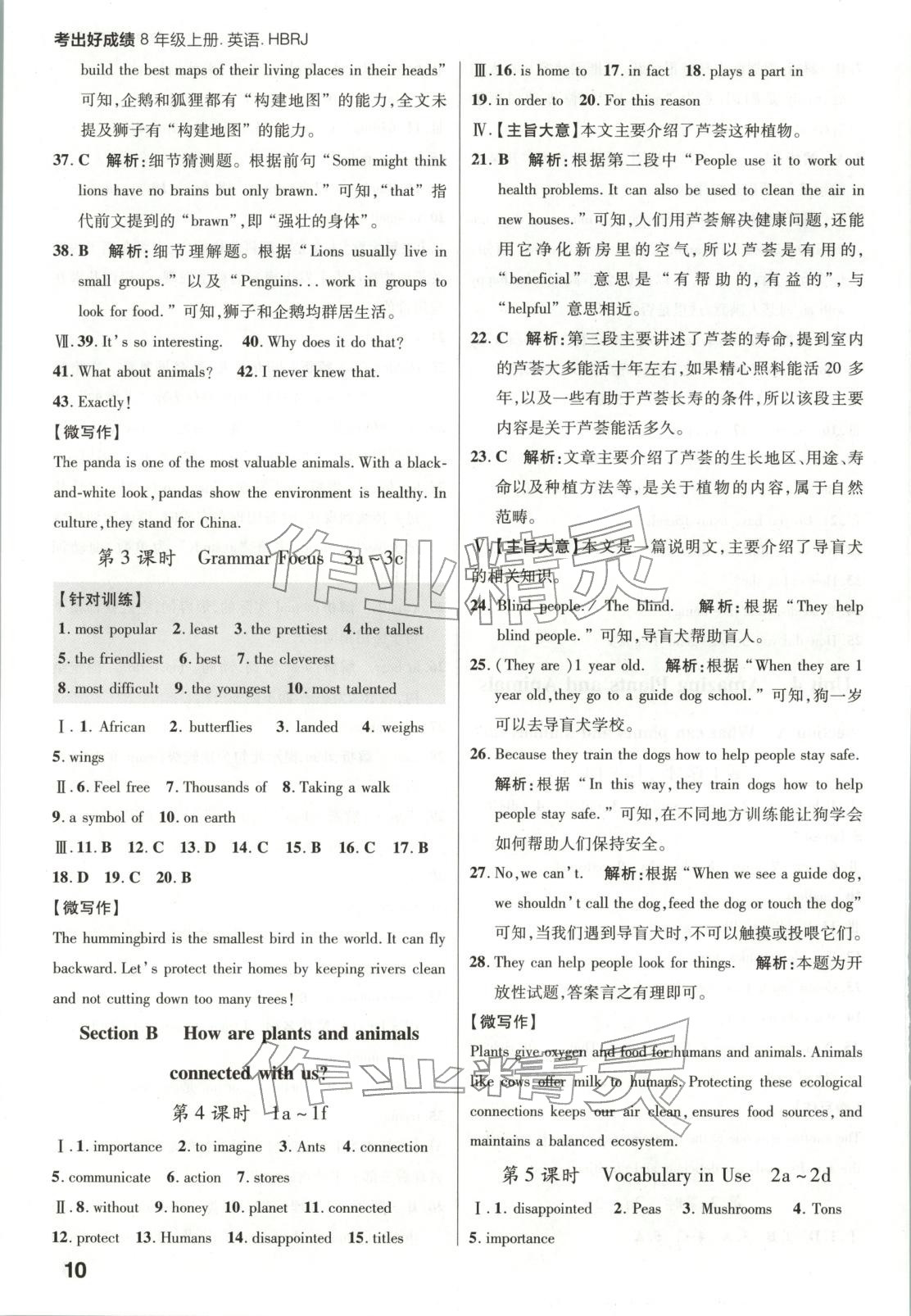 2025年考出好成績八年級英語上冊人教版河北專版&nbsp;第10頁