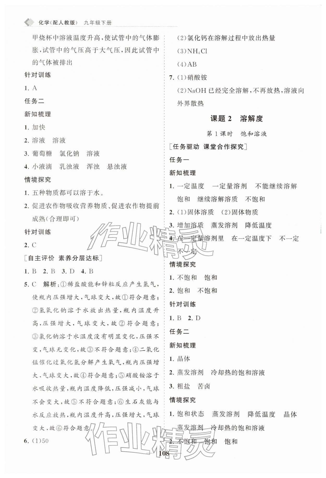 2026年新课程同步练习册九年级化学下册人教版&nbsp;第8页