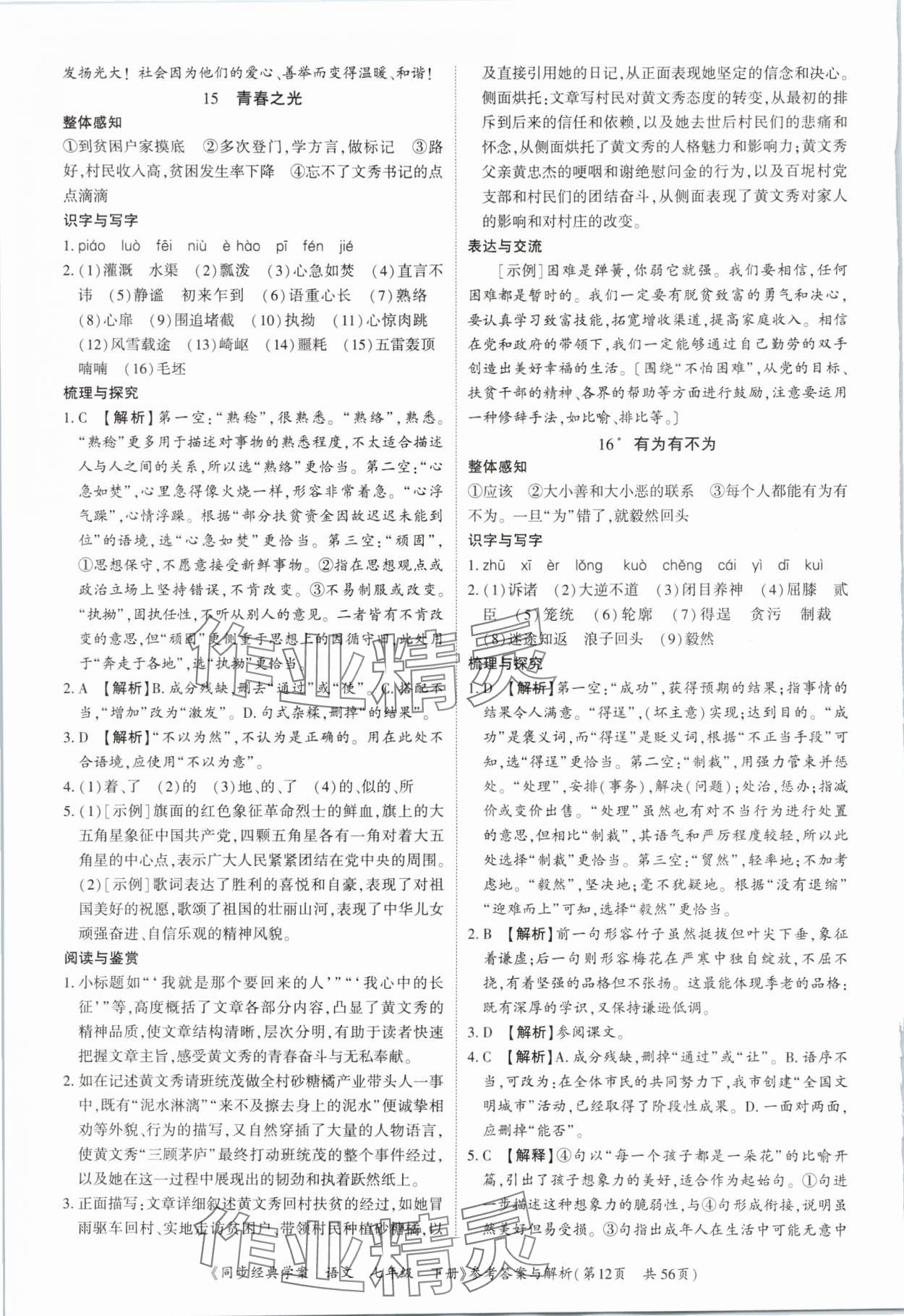 2025年同步經典學案七年級語文下冊人教版深圳專版 第12頁