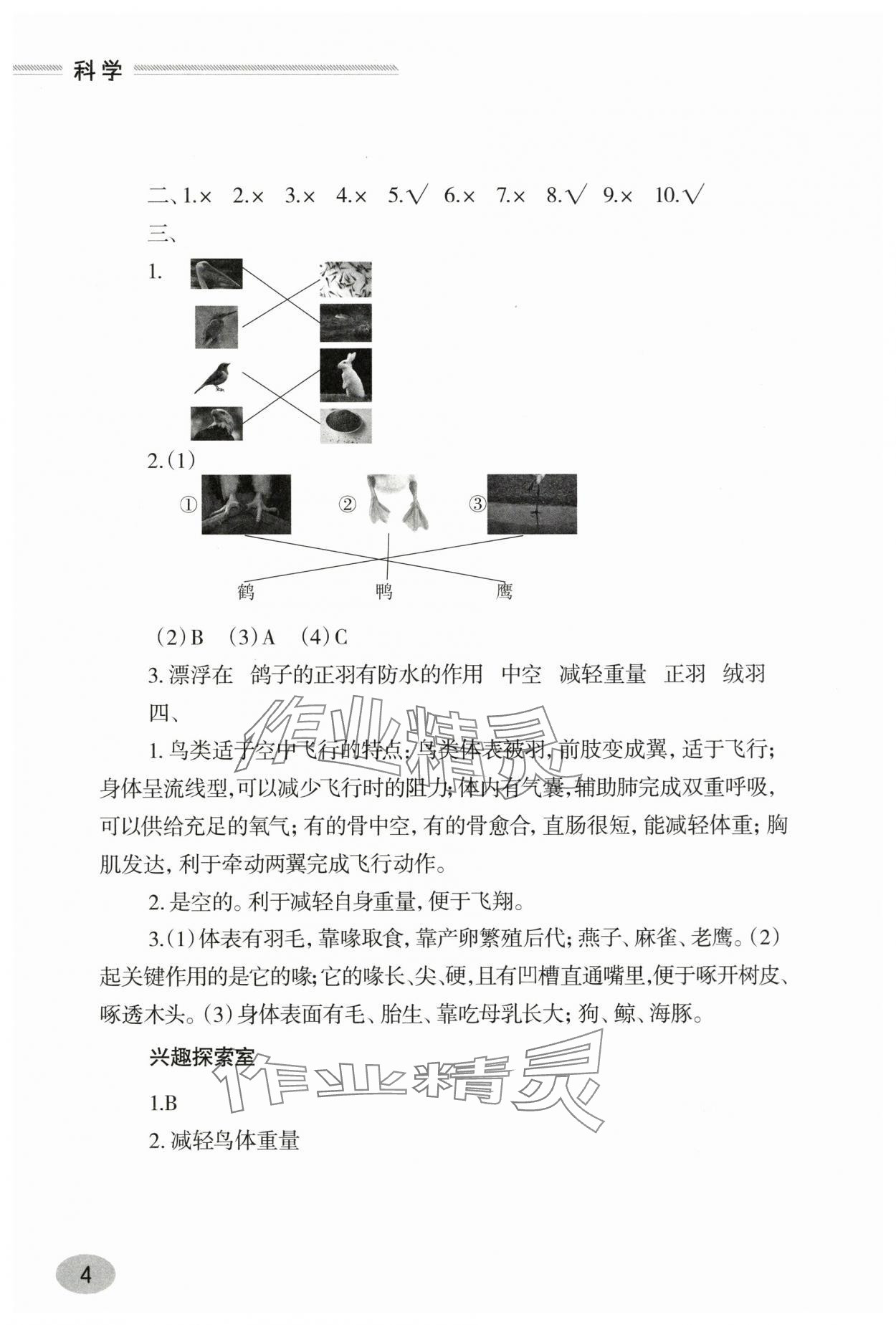 2025年新课堂学习与探究三年级科学上册青岛版&nbsp;第4页