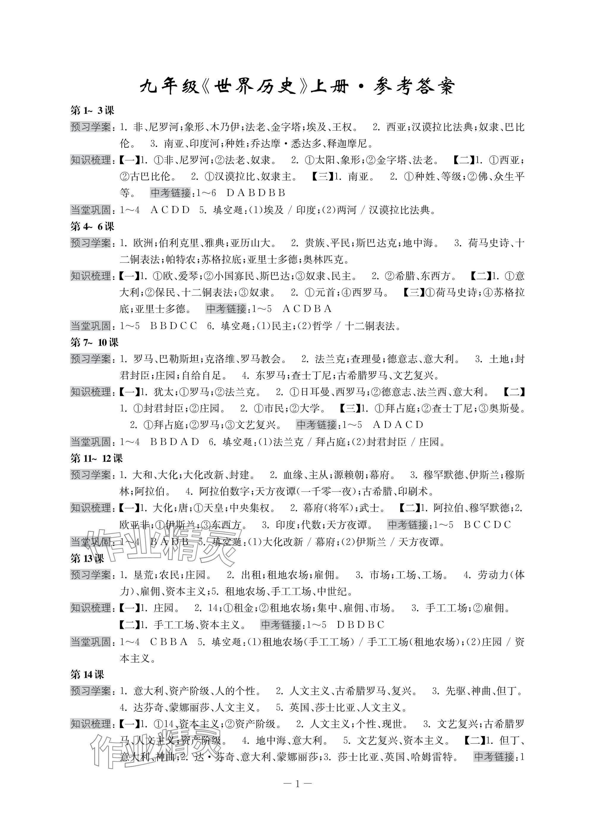 2024年領(lǐng)先一步三維提優(yōu)九年級全一冊歷史 參考答案第1頁