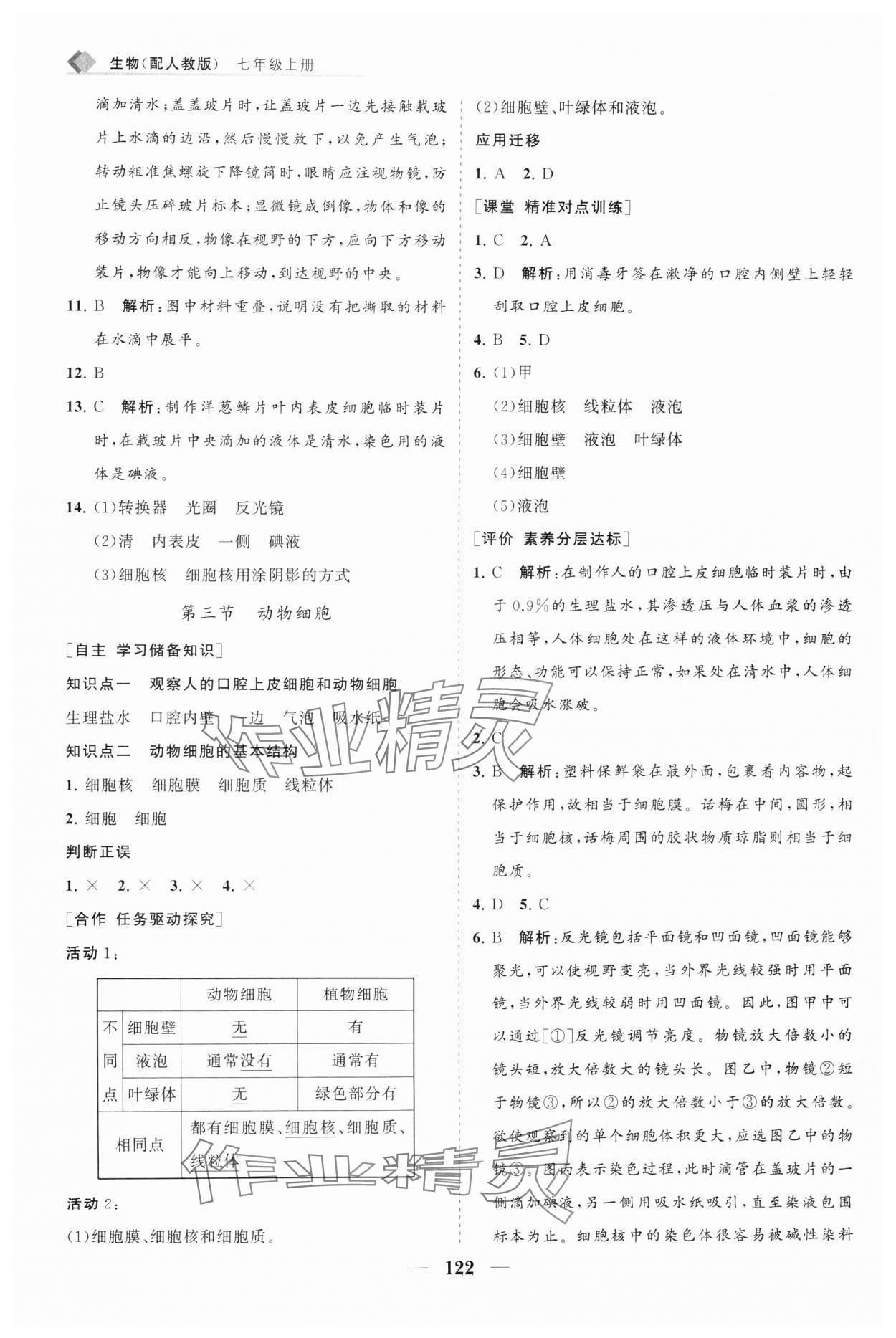 2024年新课程同步练习册七年级生物上册人教版 第4页