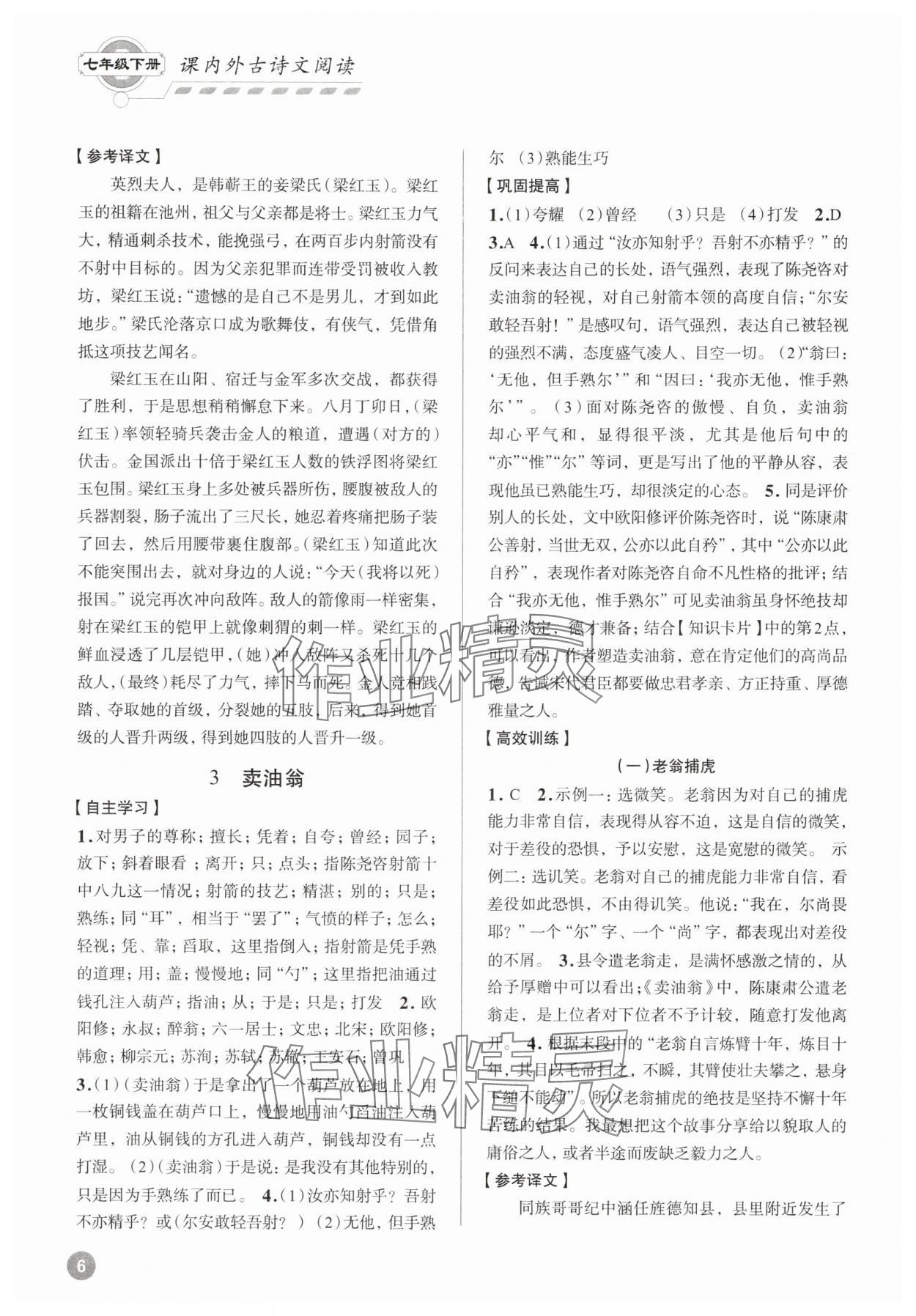 2025年專題攻略課內外古詩文閱讀高效訓練七年級下冊 參考答案第5頁