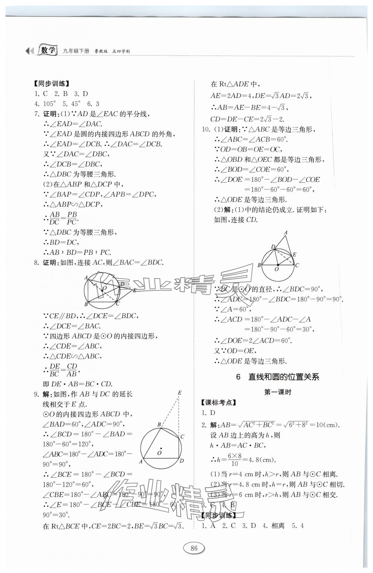 2024年初中同步練習(xí)冊(cè)九年級(jí)數(shù)學(xué)下冊(cè)魯教版54制山東科學(xué)技術(shù)出版社 第8頁