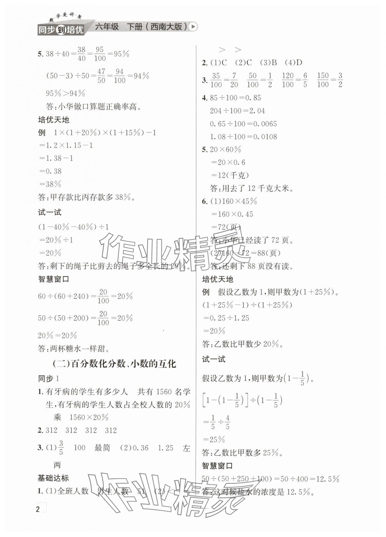 2025年數學愛好者同步到培優六年級下冊西師大版 第2頁
