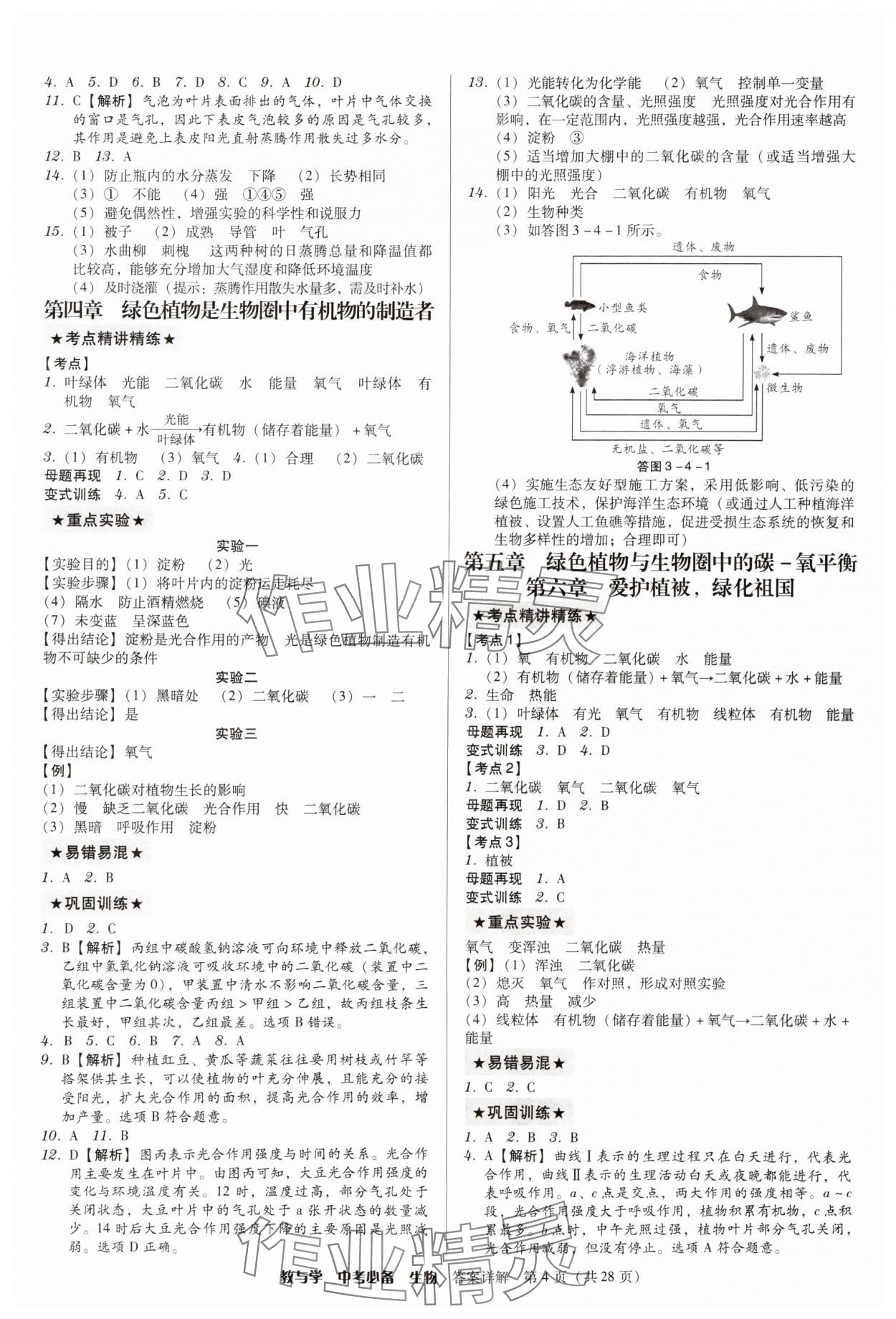 2025年教与学中考必备生物 第4页