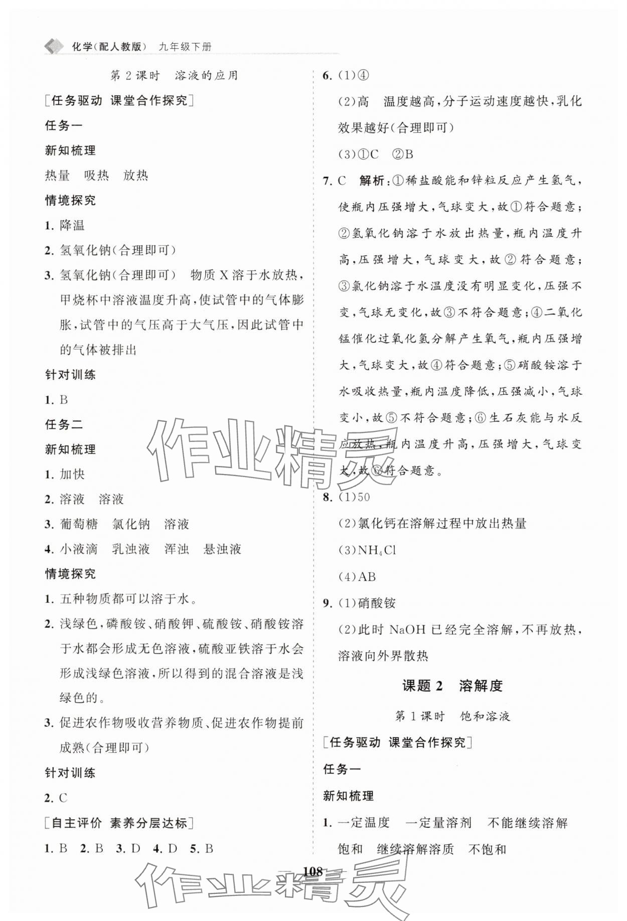2025年新課程同步練習(xí)冊九年級化學(xué)下冊人教版 第8頁
