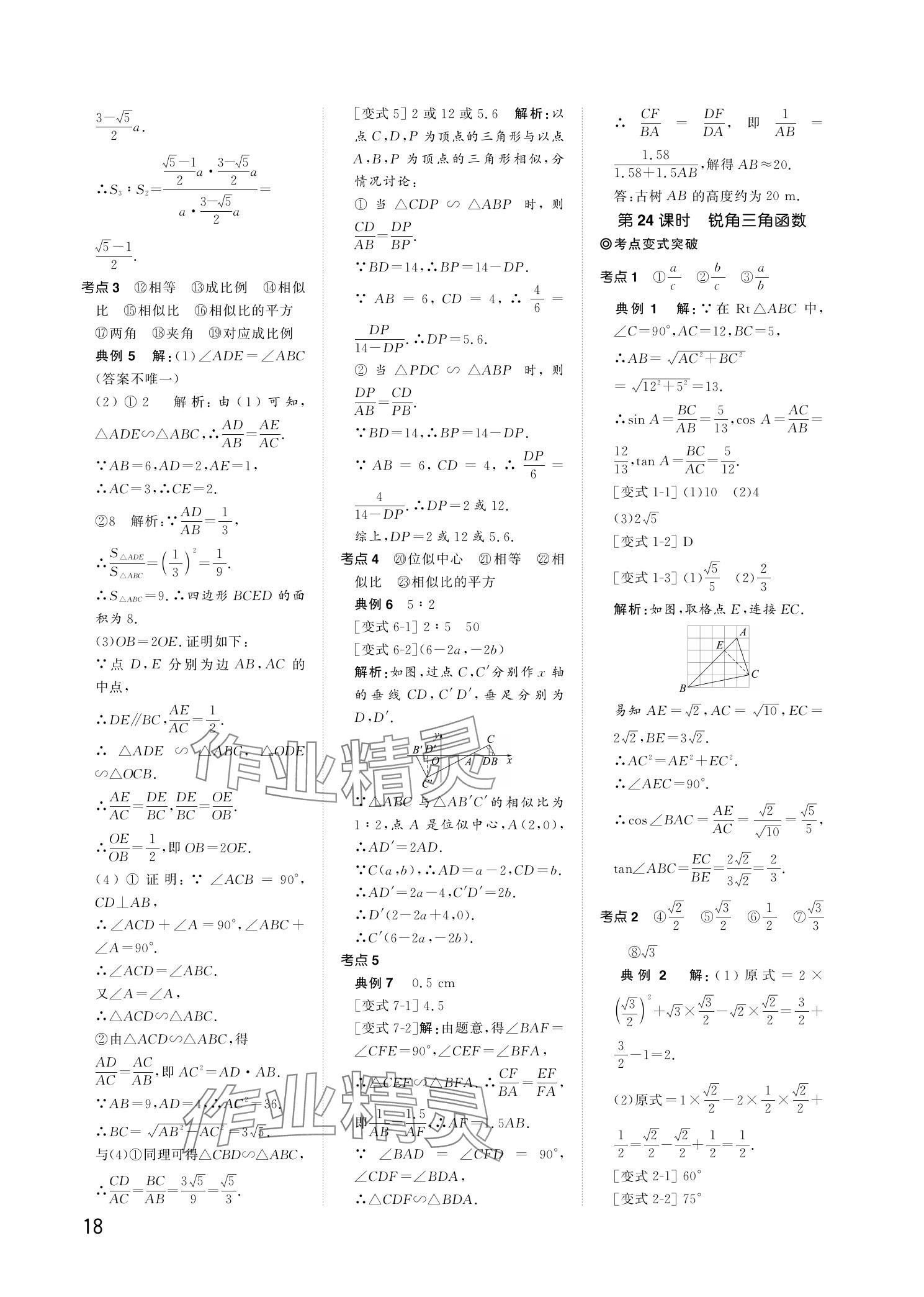 2024年陽光同學分層新中考數(shù)學福建專版 參考答案第18頁