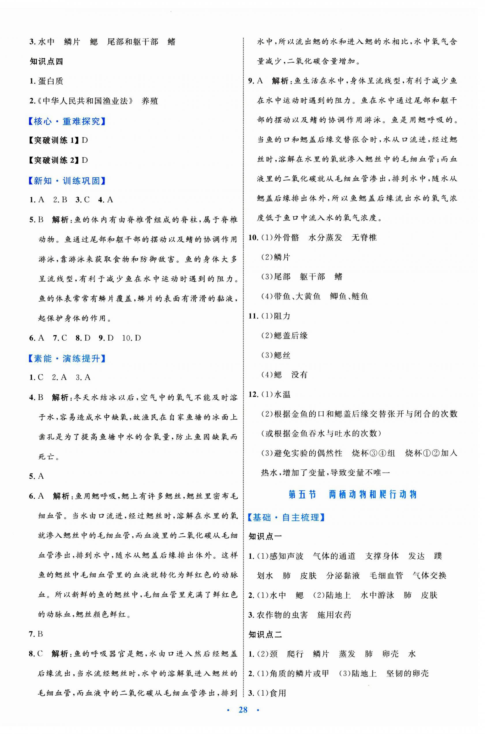 2023年同步學(xué)習(xí)目標(biāo)與檢測八年級生物上冊人教版 第4頁