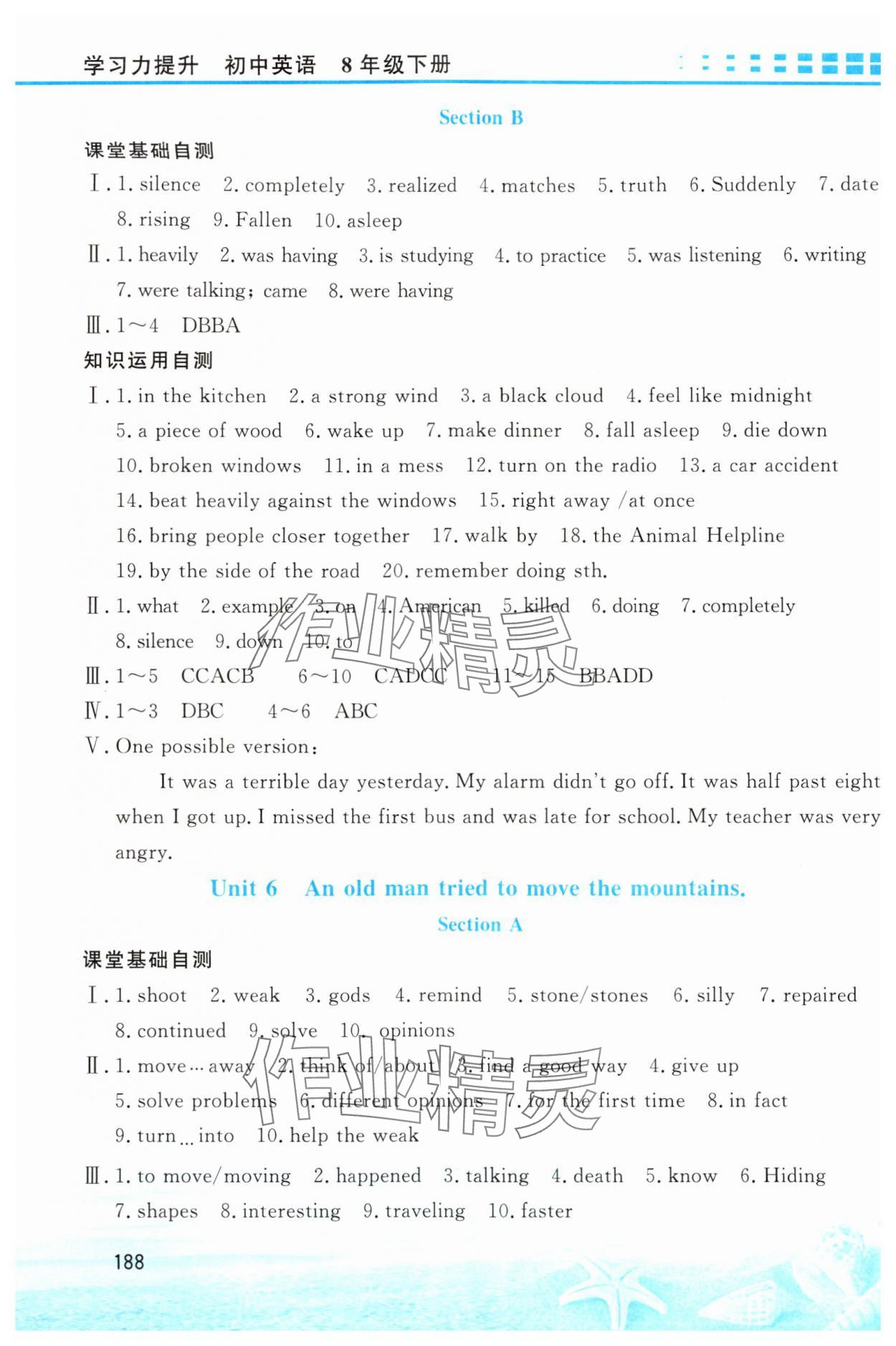 2024年學(xué)習(xí)力提升八年級英語下冊人教版 第6頁