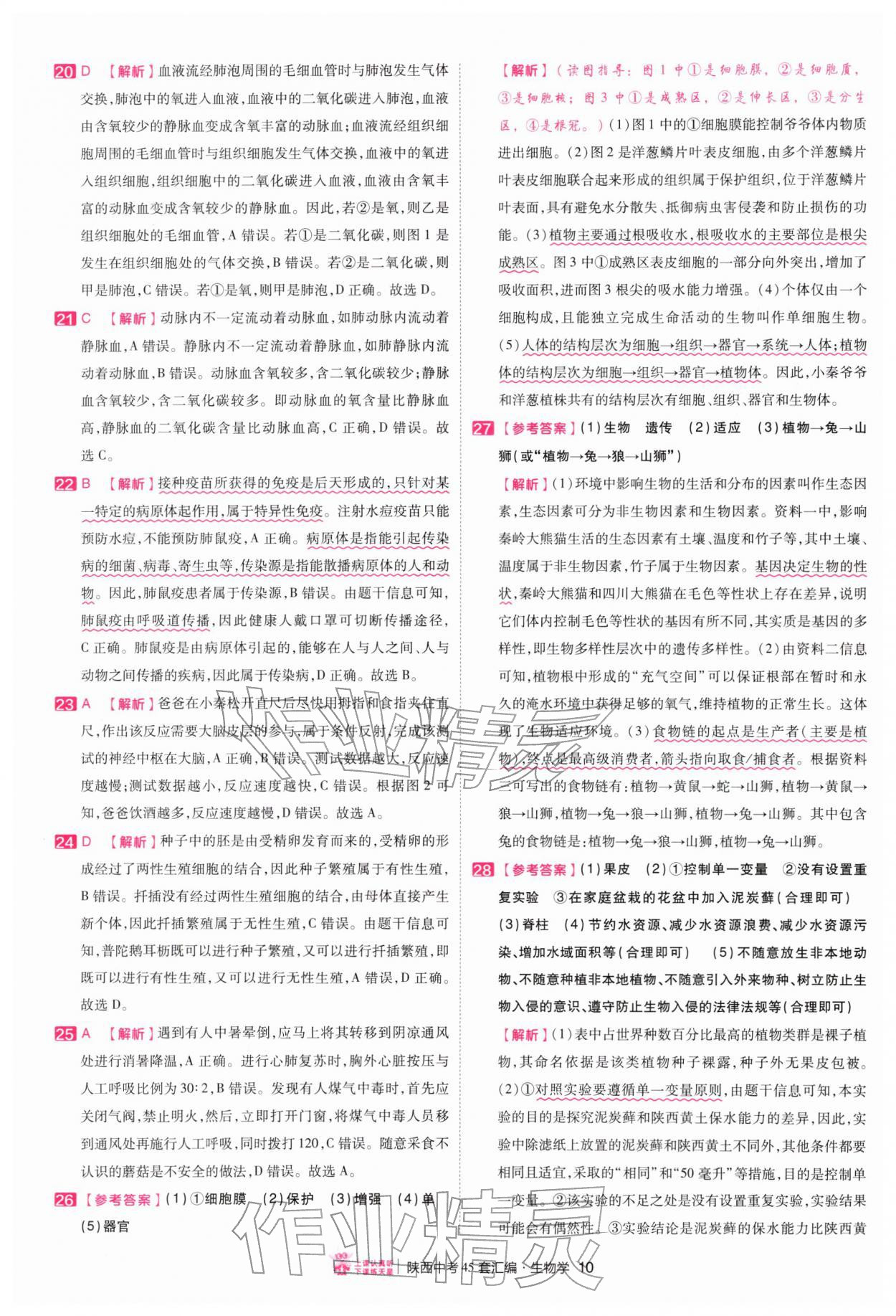 2026年金考卷45套汇编生物中考人教版陕西专版&nbsp;第10页