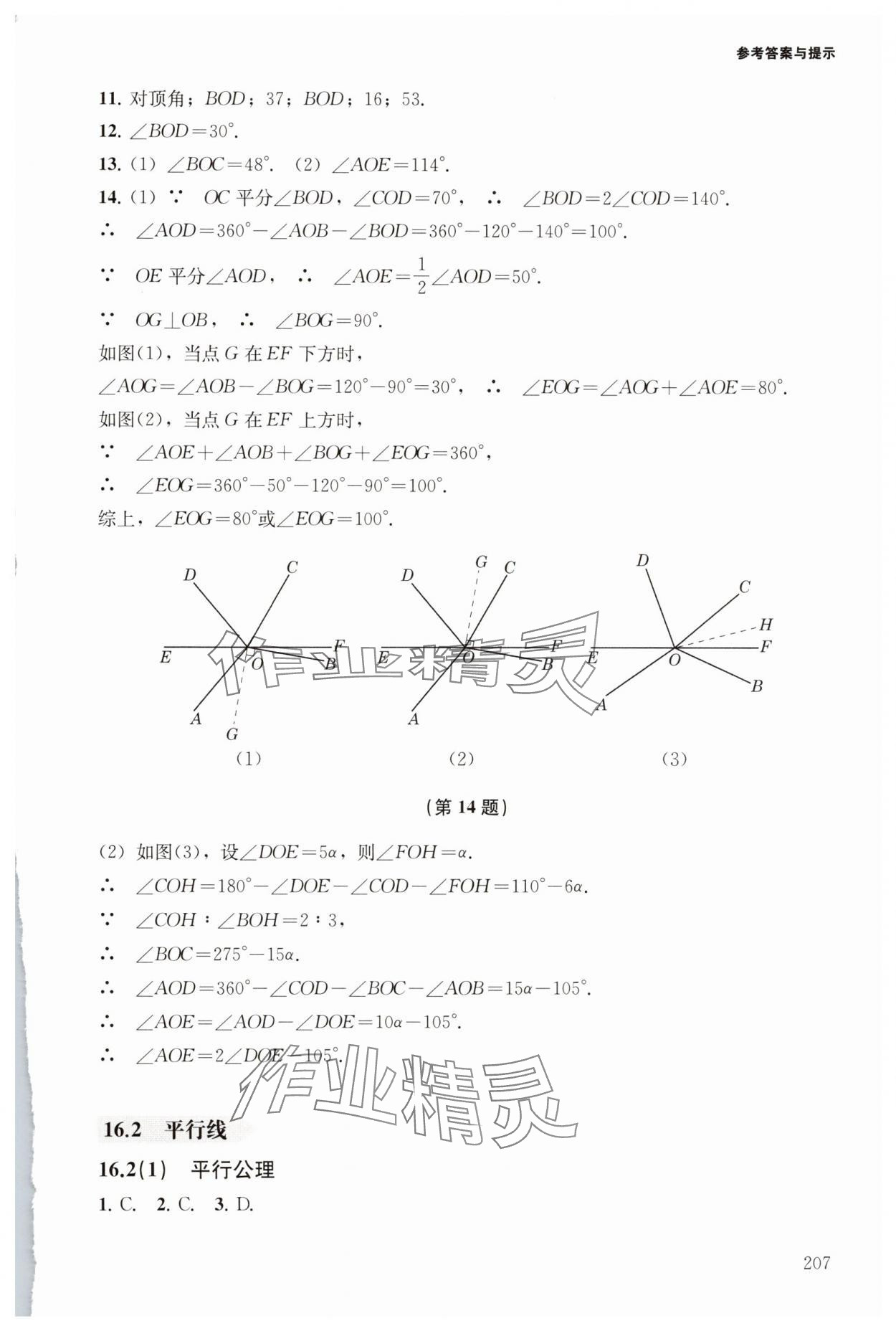 2025年初中數學精練與拓展七年級下冊滬教版五四制 參考答案第9頁