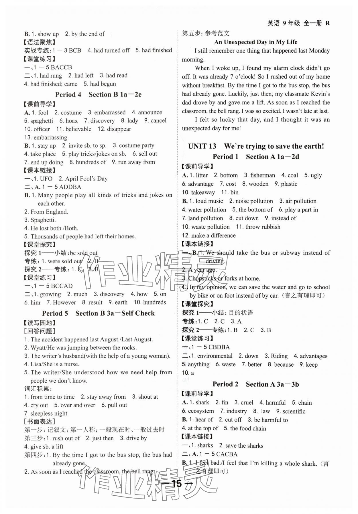 2024年全程突破九年級(jí)英語(yǔ)全一冊(cè)人教版 參考答案第15頁(yè)