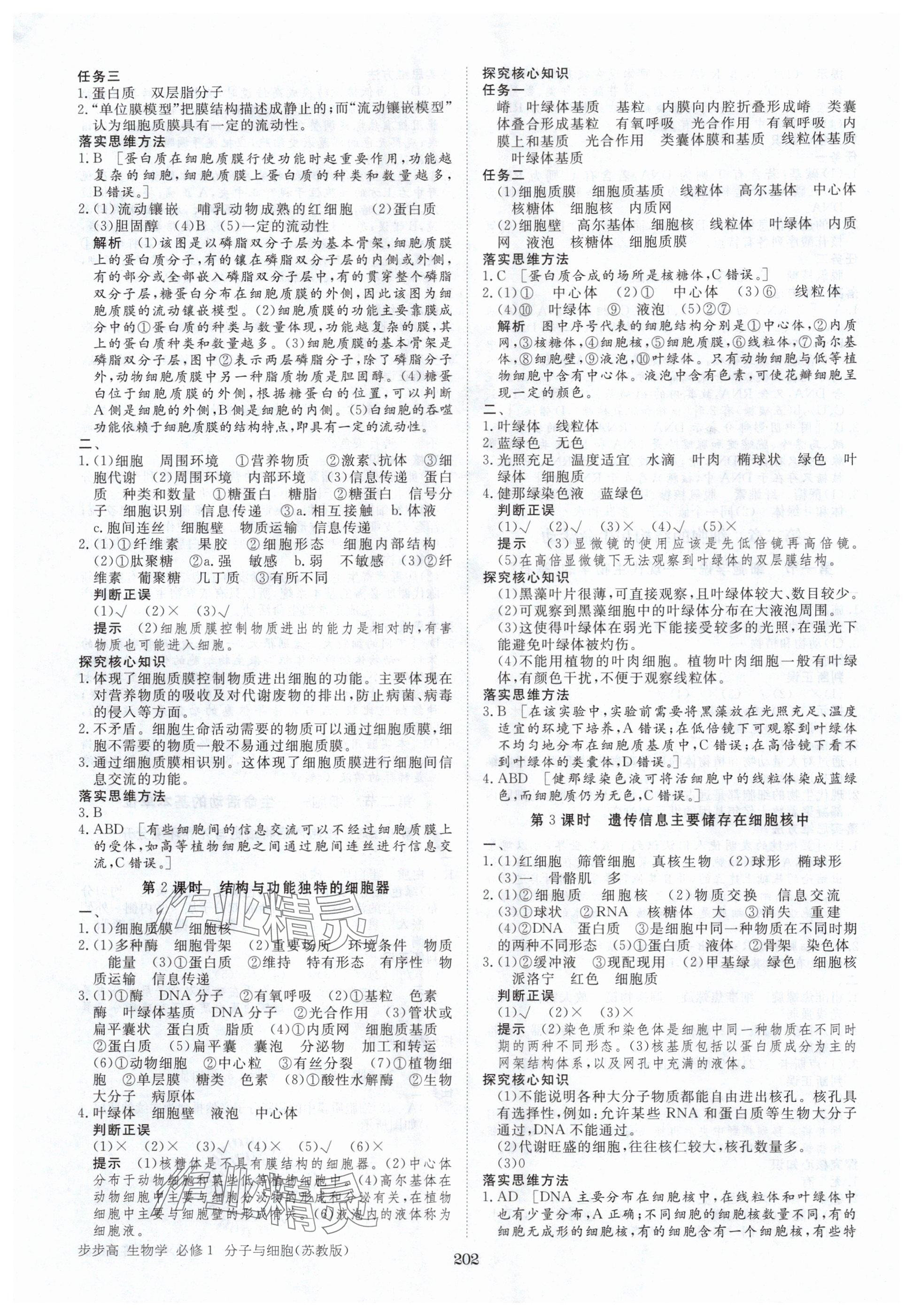 2025年步步高学习笔记高中生物必修1苏教版 第5页