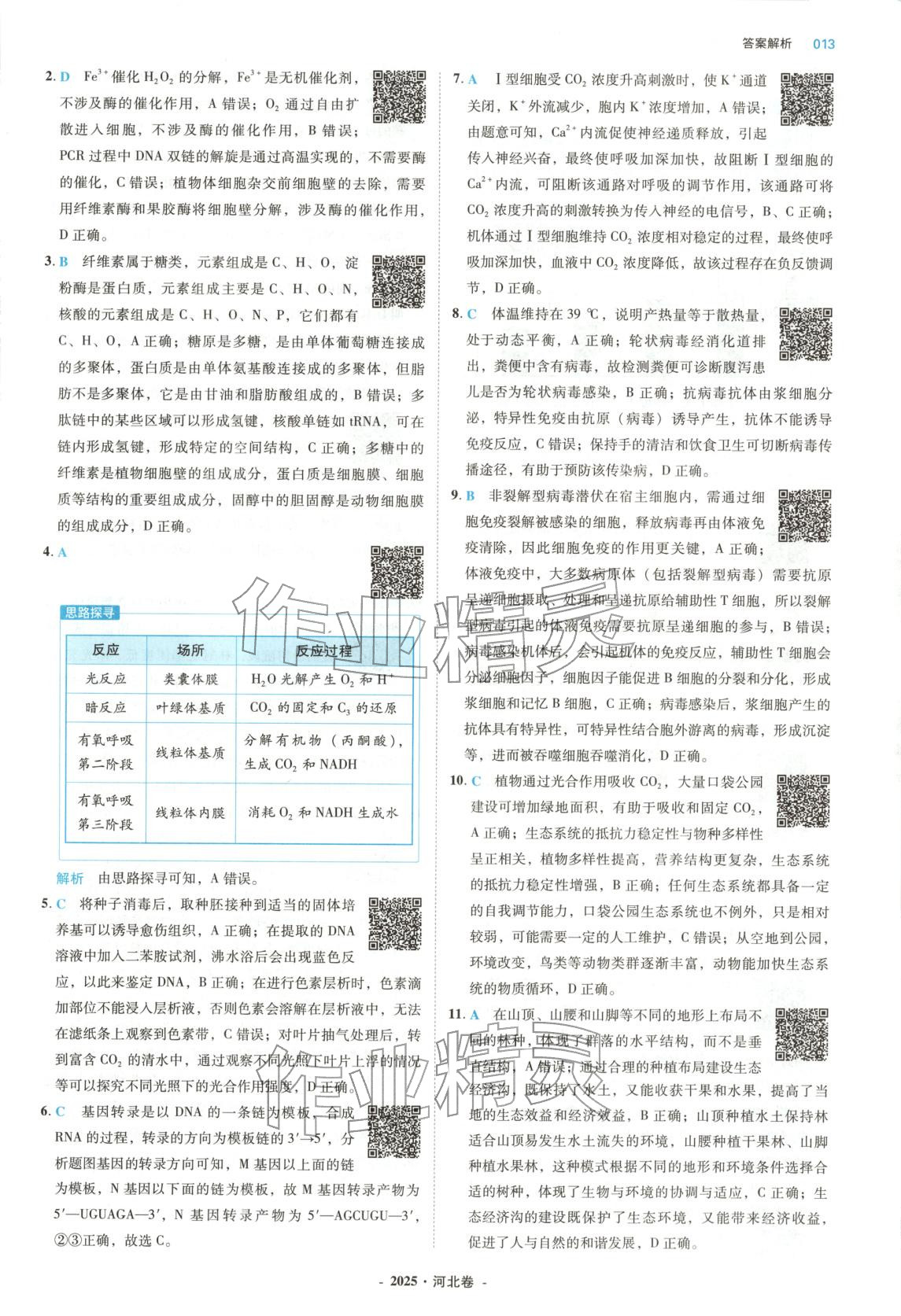 2026年五年高考真题汇编高中生物&nbsp;第13页