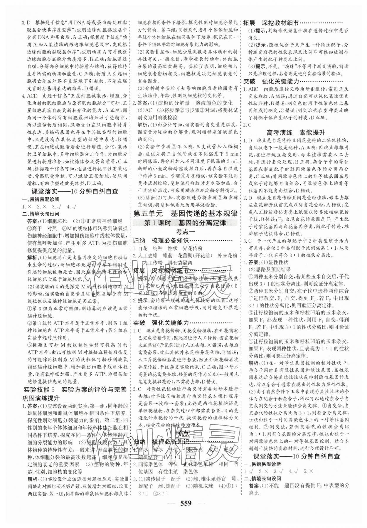 2025年優(yōu)化探究高中生物 參考答案第19頁