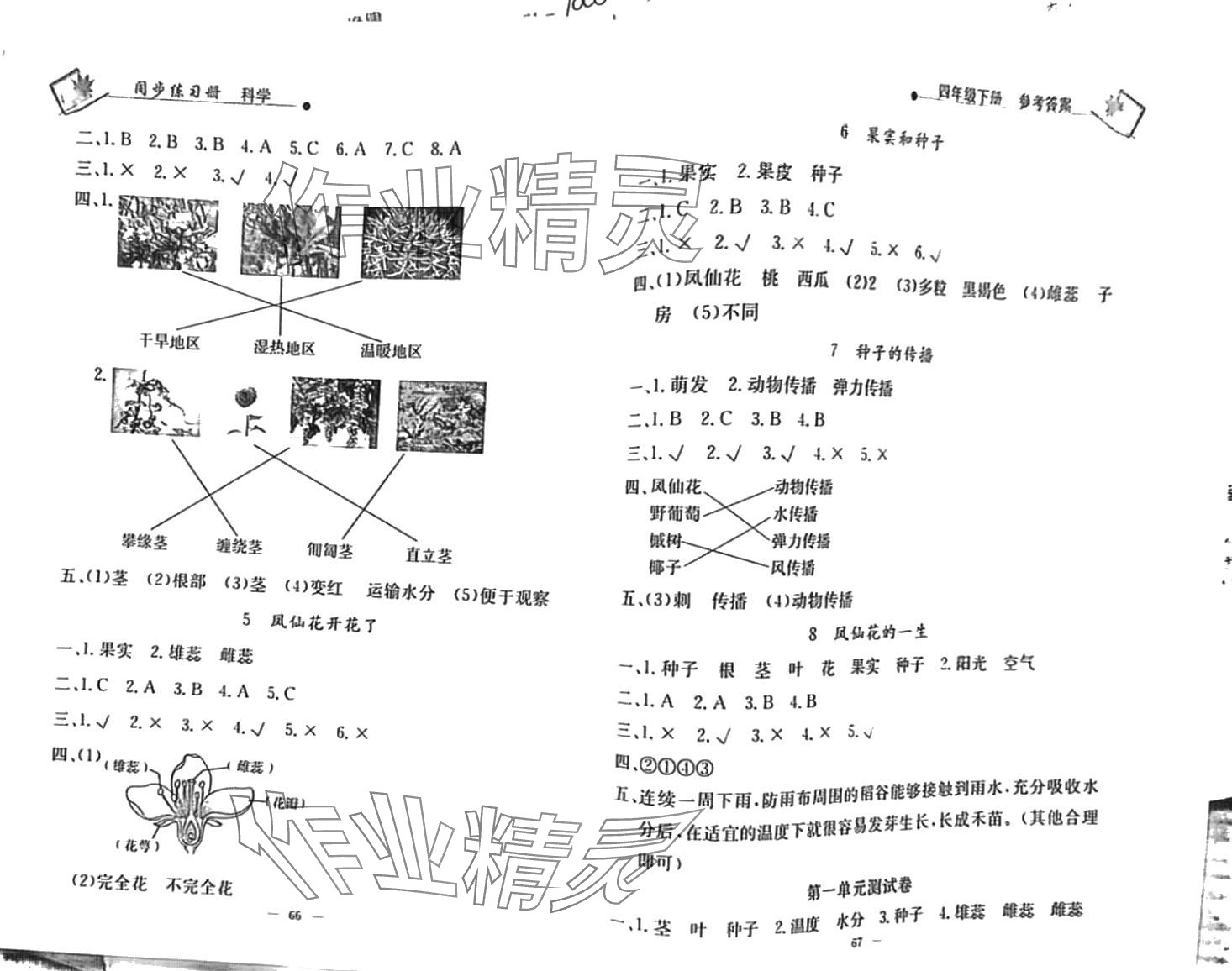 2024年同步練習(xí)冊(cè)山東科學(xué)技術(shù)出版社四年級(jí)下冊(cè)教科版 第2頁(yè)