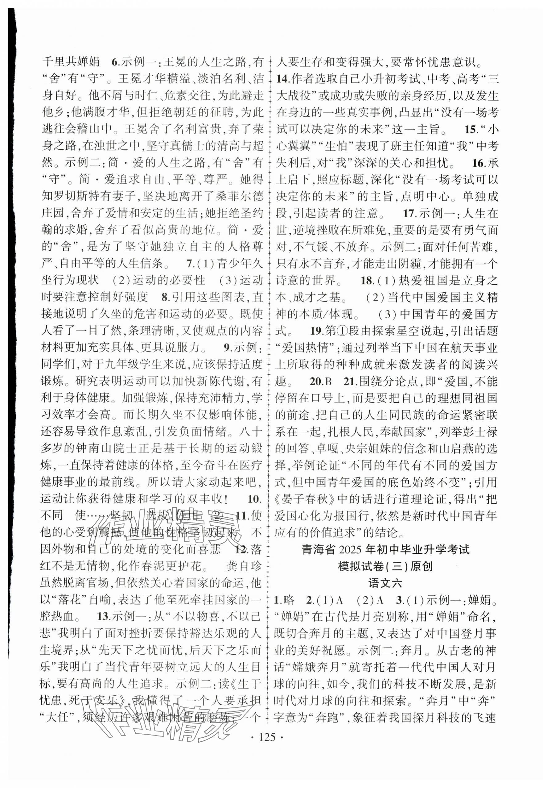2025年青海中考金榜名卷模擬試卷語文 第5頁