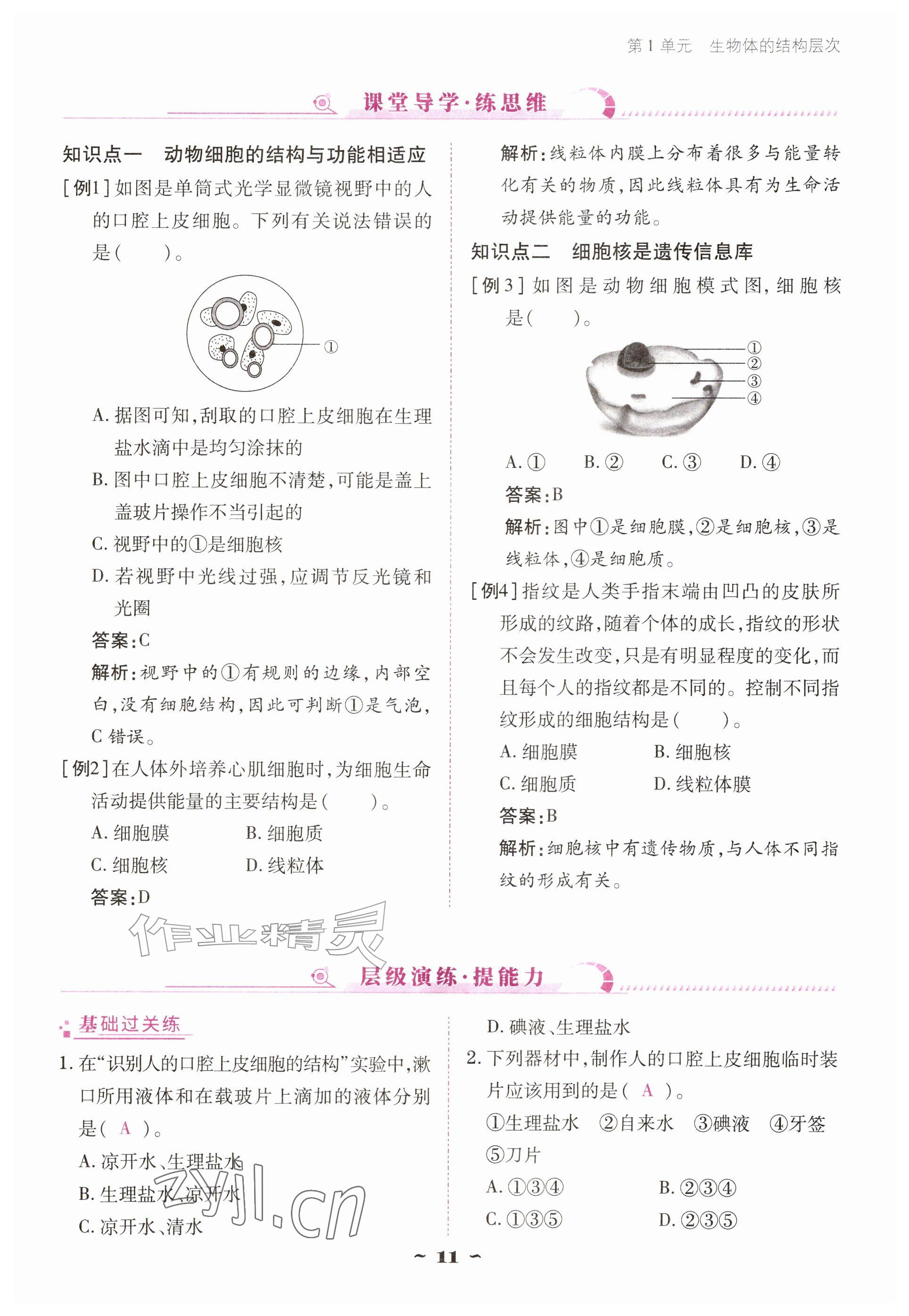 2026年云南省标准教辅优佳学案七年级历史上册人教版&nbsp;参考答案第11页