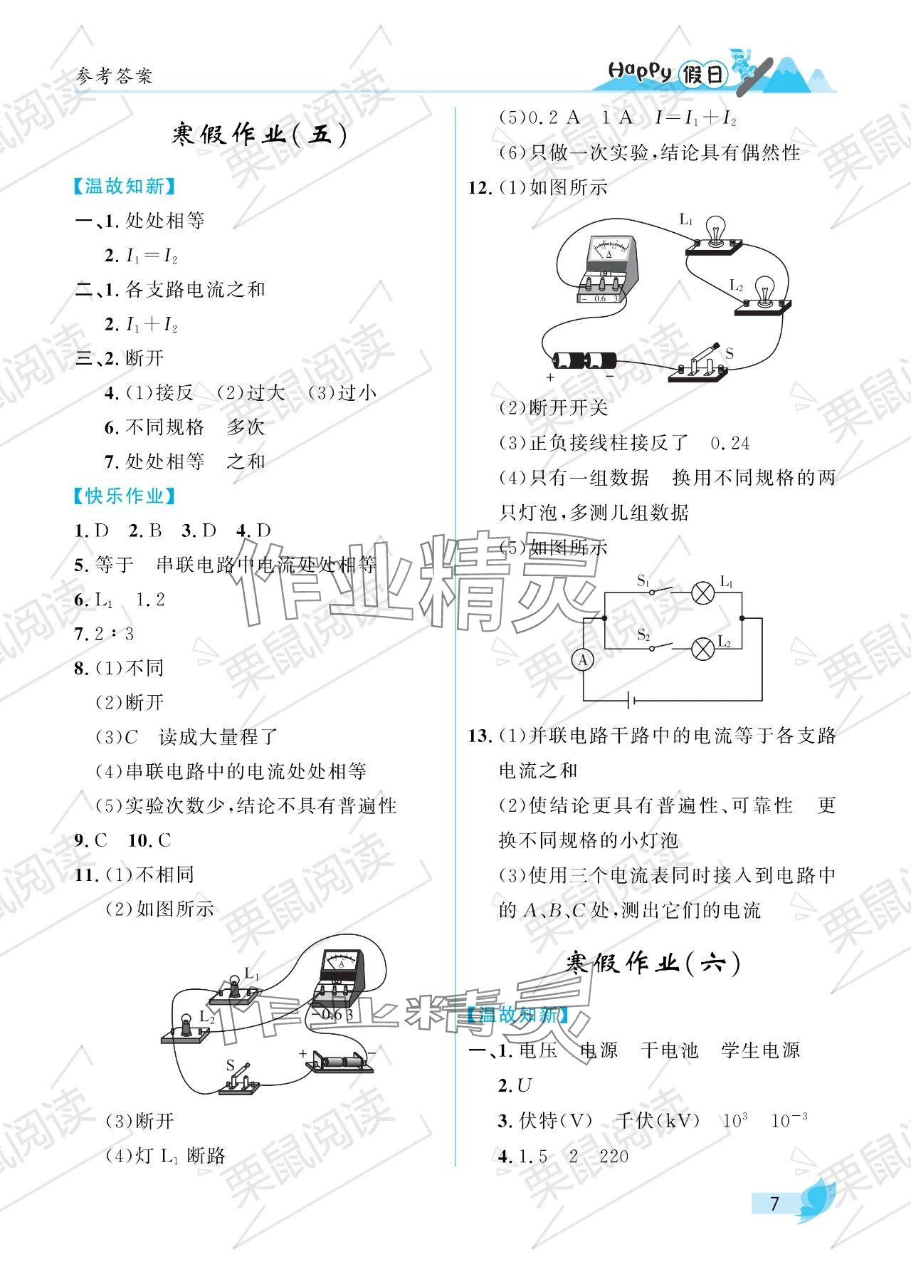 2024年寒假Happy假日九年级物理鲁科版五四制 参考答案第7页