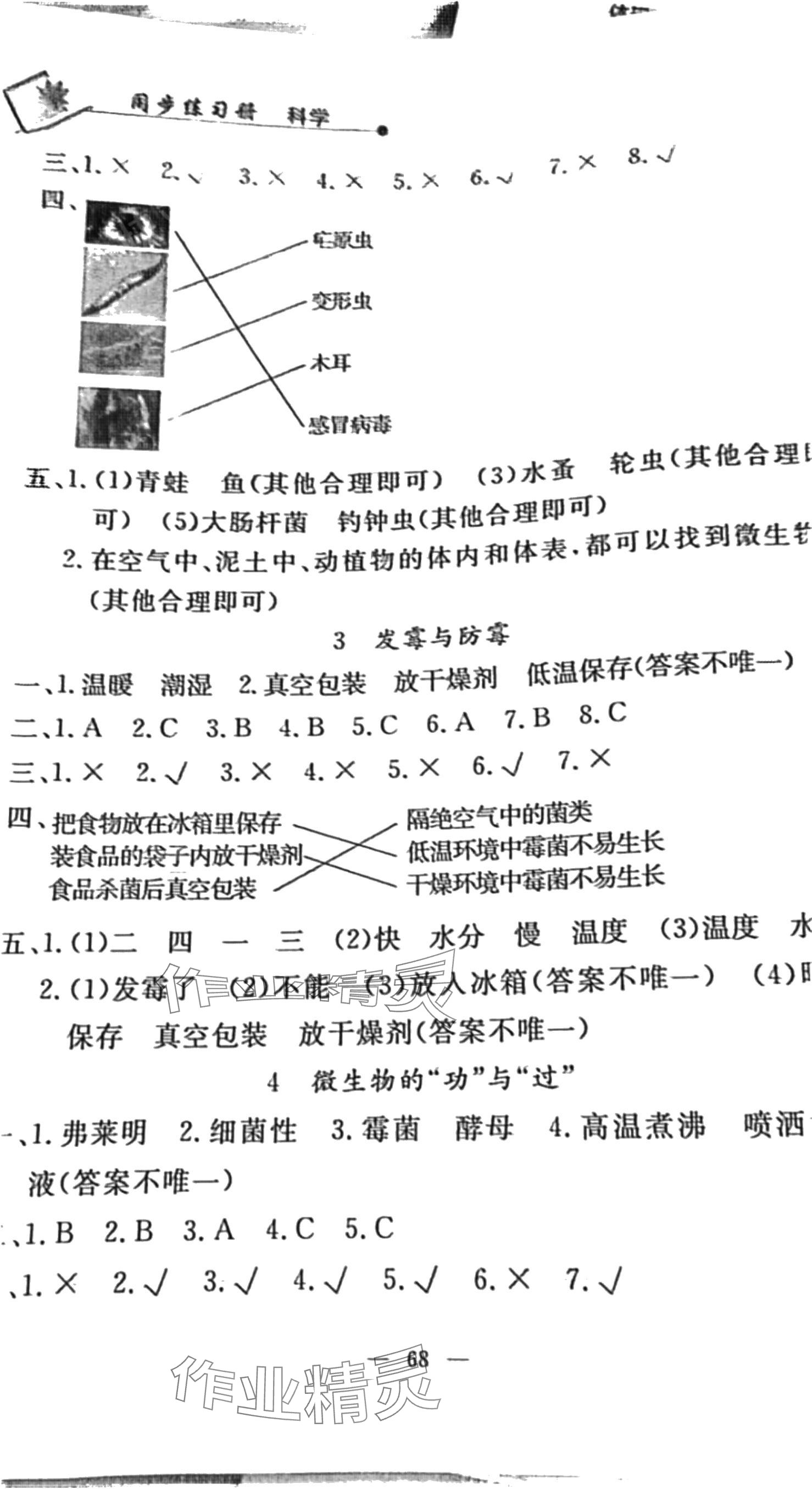 2024年同步練習(xí)冊(cè)山東科學(xué)技術(shù)出版社五年級(jí)下冊(cè)蘇教版 第2頁