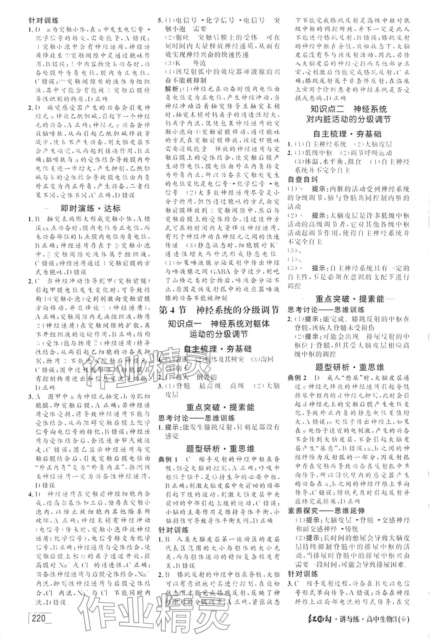 2024年红对勾讲与练高中生物选择性必修1人教版 第8页