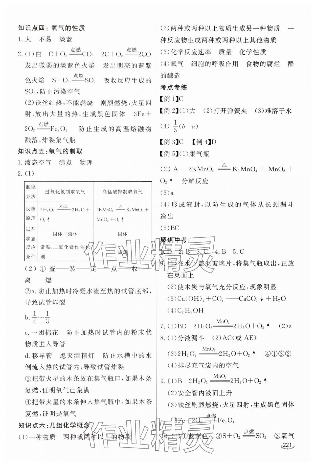 2025年初中学业水平考试备考指导化学中考临沂专版 参考答案第2页