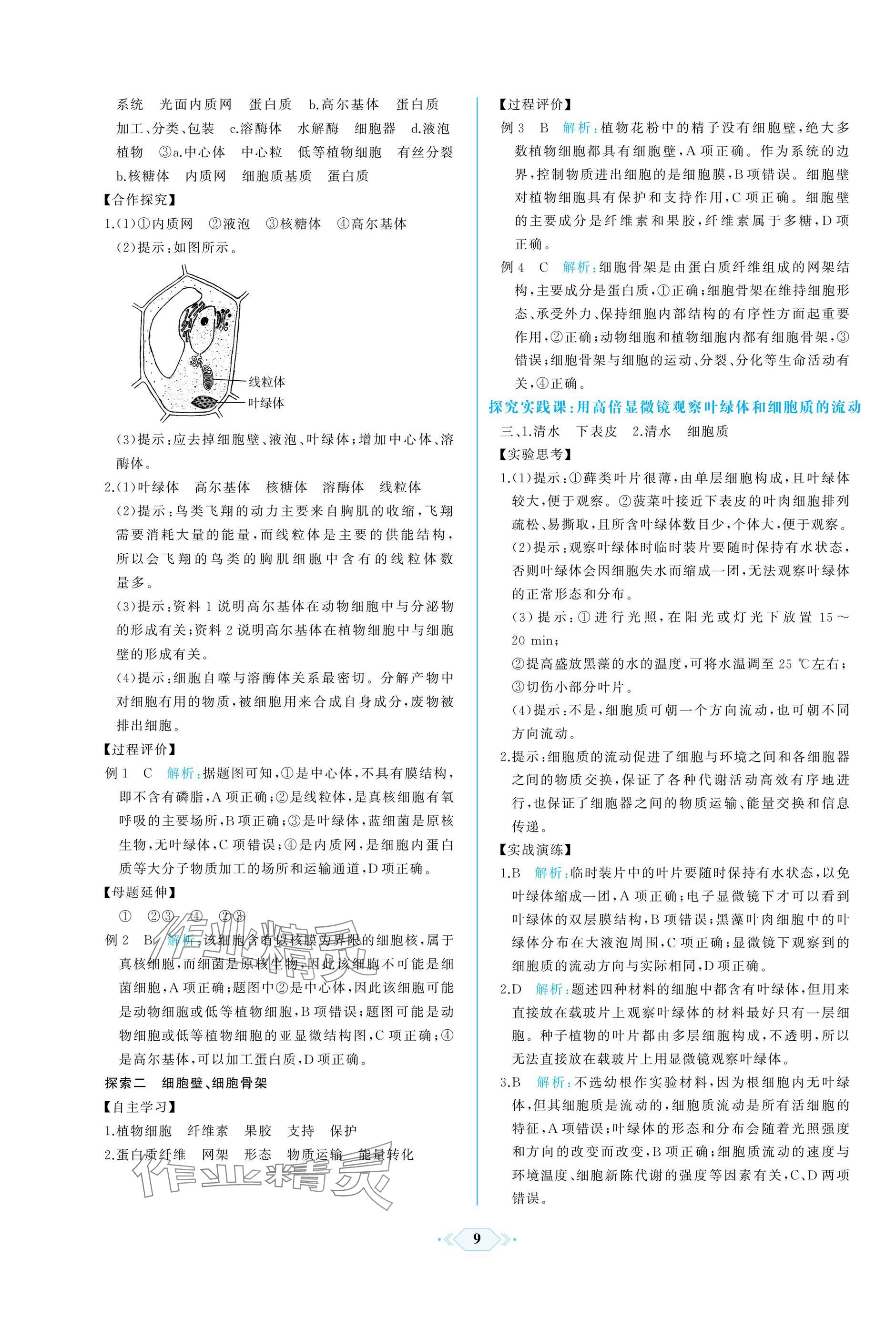 2024年同步解析與測評課時練人民教育出版社高中生物必修1人教版增強版 參考答案第9頁