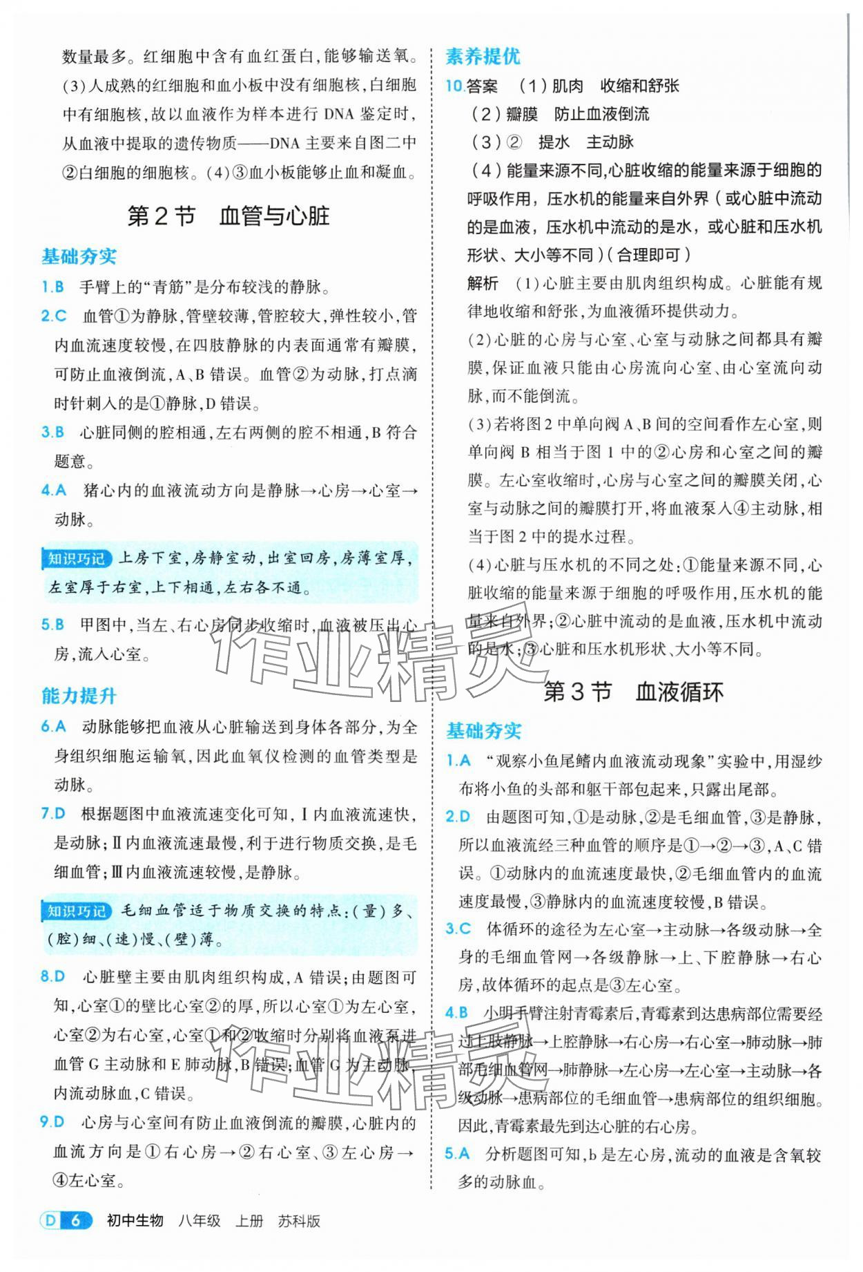 2025年5年中考3年模拟八年级生物上册苏科版 参考答案第6页