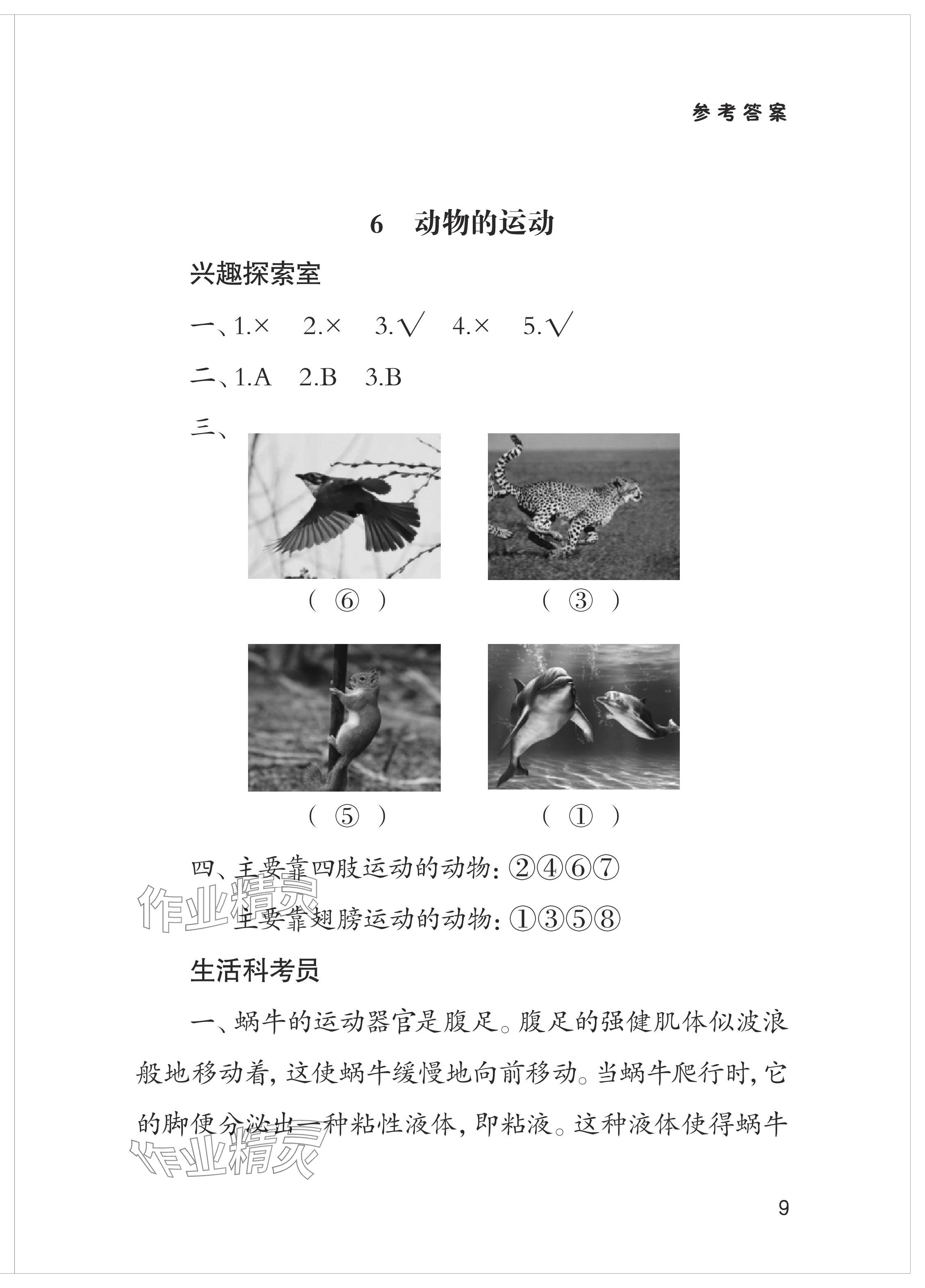 2024年新課堂學習與探究一年級科學下冊青島版 參考答案第9頁