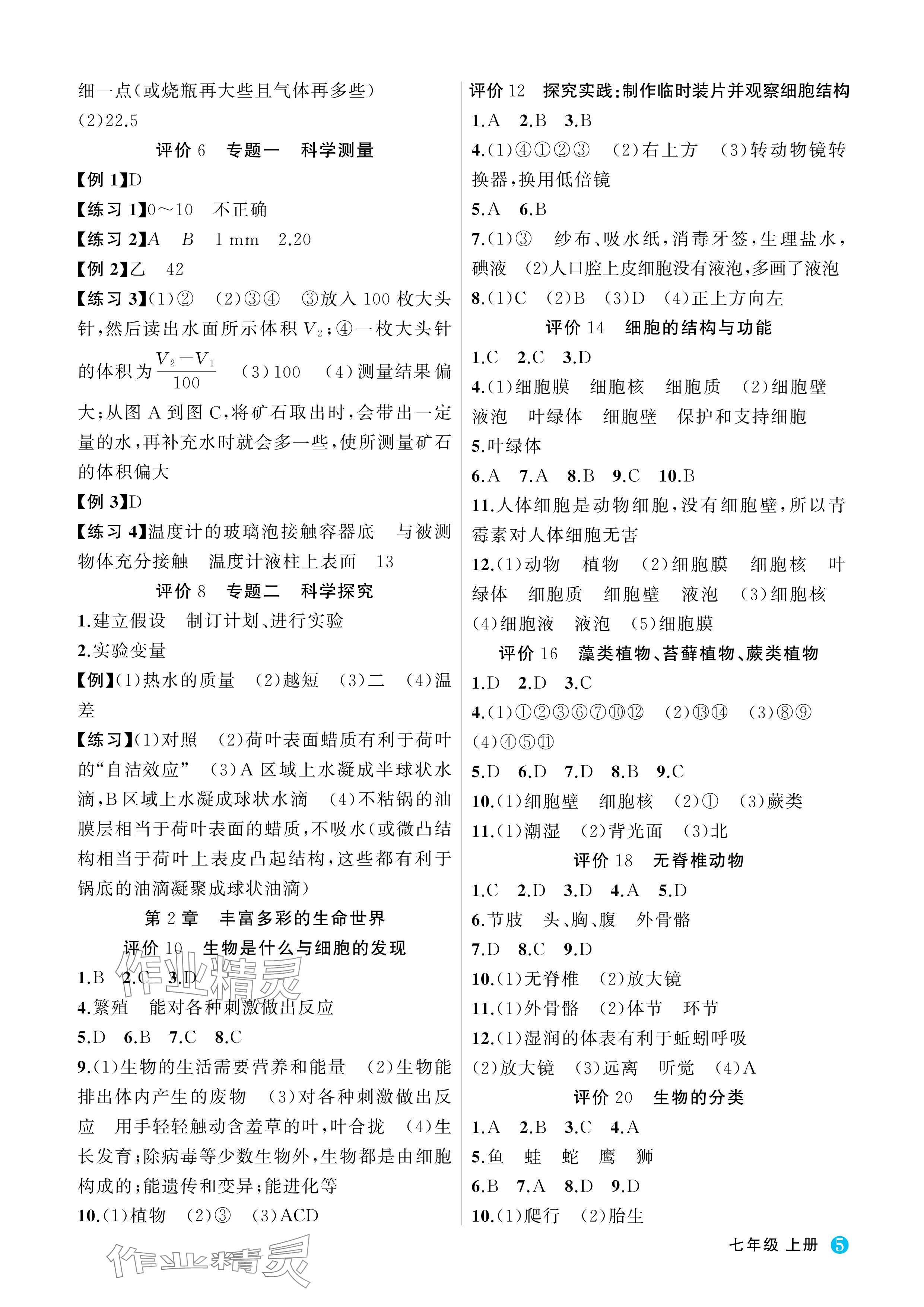 2024年名師面對(duì)面學(xué)科素養(yǎng)評(píng)價(jià)七年級(jí)科學(xué)上冊(cè)浙教版 參考答案第5頁(yè)