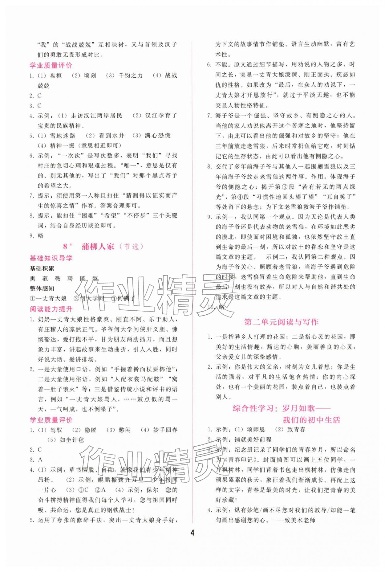 2026年新课程学习辅导九年级语文下册人教版&nbsp;第4页