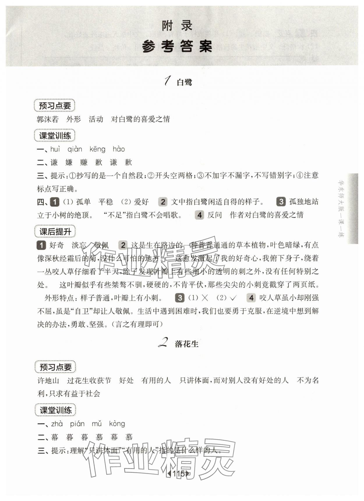 2025年华东师大版一课一练五年级语文上册人教版五四制 第1页