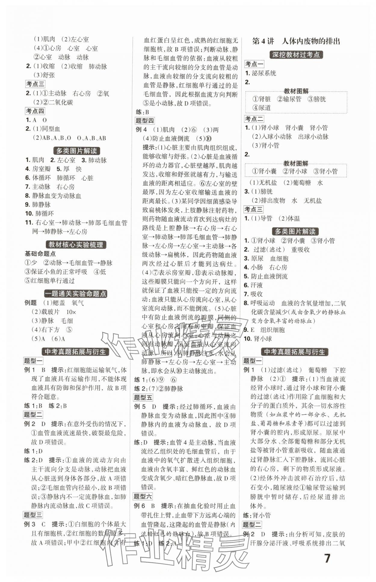 2025年全优中考系统总复习生物河北专版 第7页