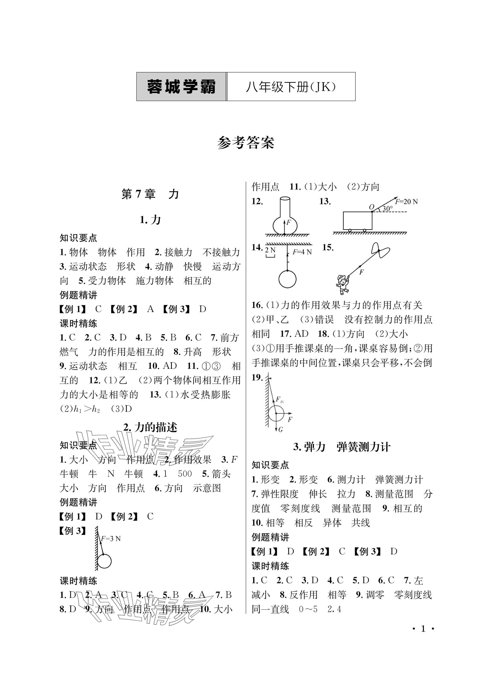 2025年蓉城學(xué)霸八年級物理下冊教科版 參考答案第1頁