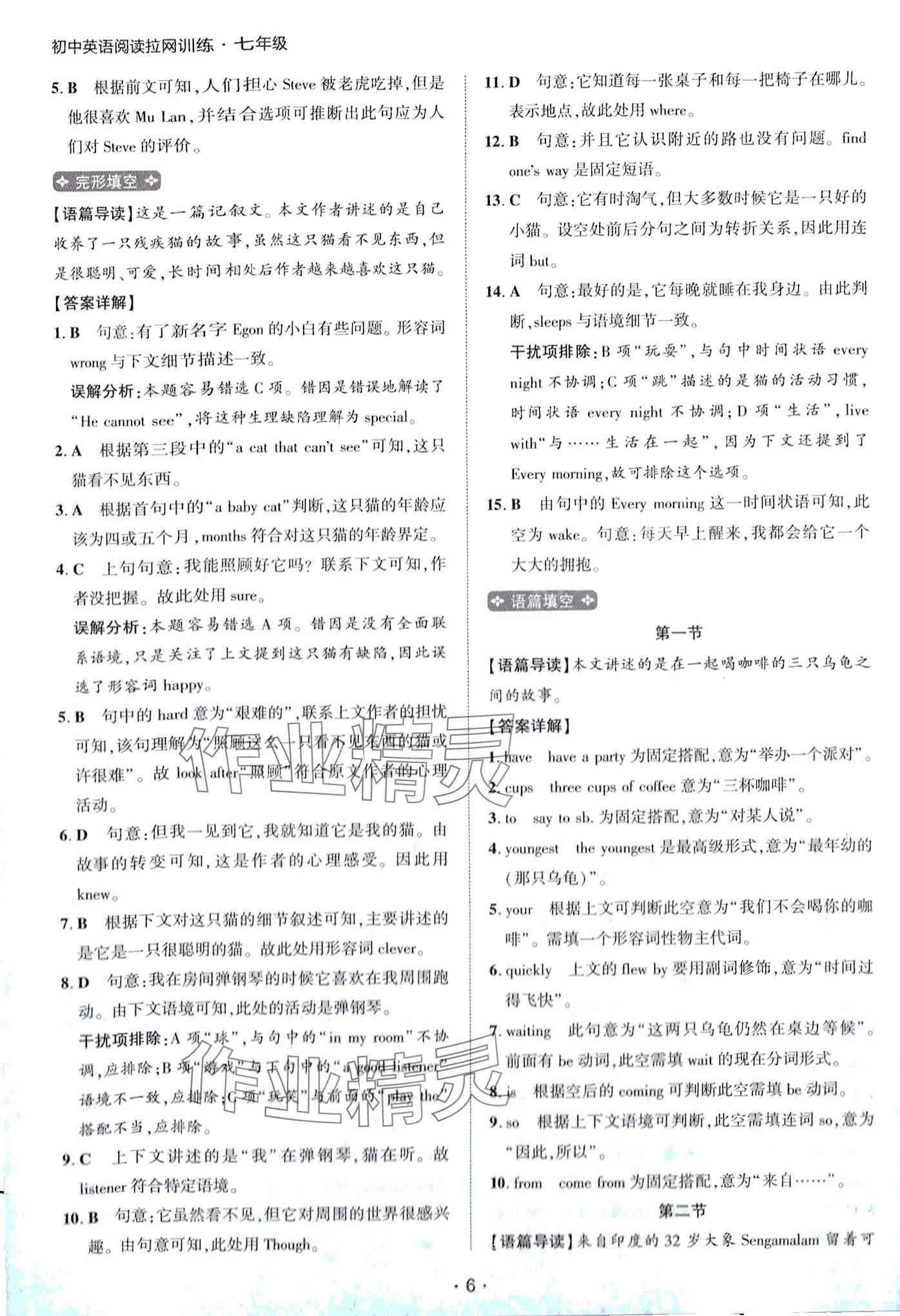 2024年閱讀拉網訓練七年級英語 第6頁