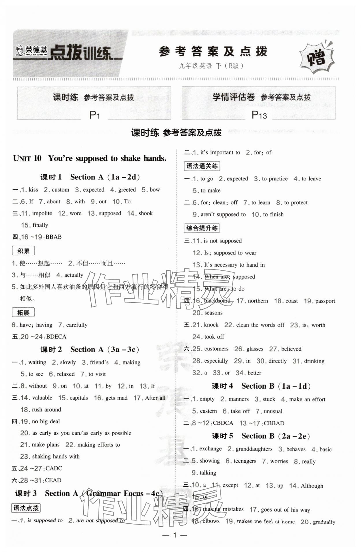 2025年點撥訓(xùn)練九年級英語下冊人教版寧夏專版 參考答案第1頁