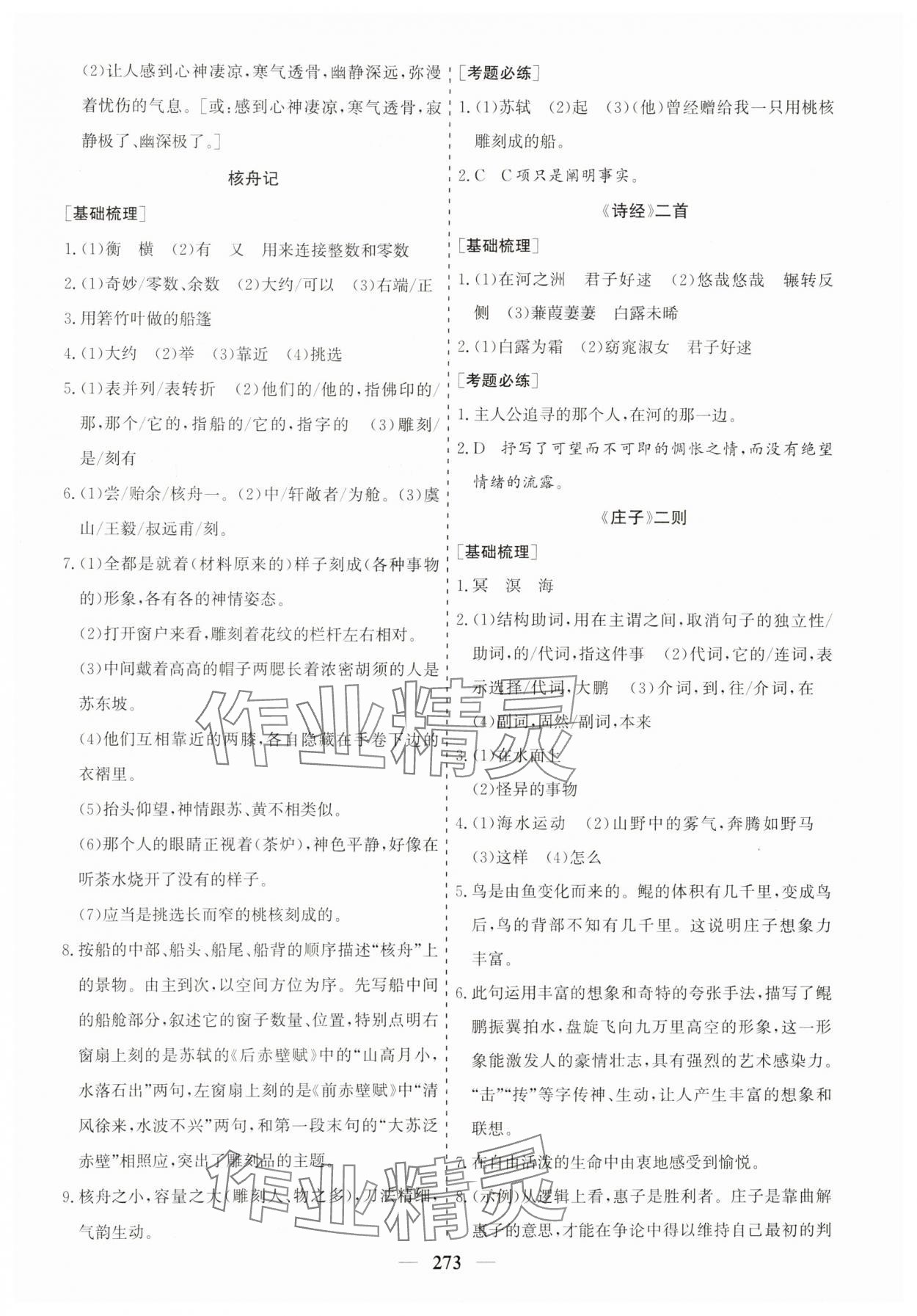 2025年點(diǎn)金考案語(yǔ)文中考 第13頁(yè)