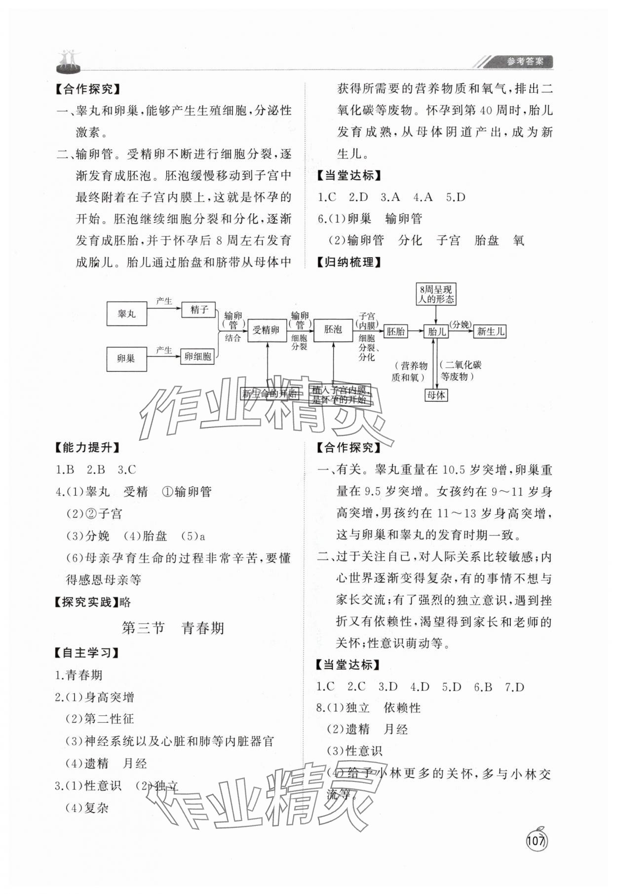 2024年初中同步練習(xí)冊(cè)七年級(jí)生物學(xué)上冊(cè)魯科版54制山東友誼出版社 參考答案第2頁(yè)