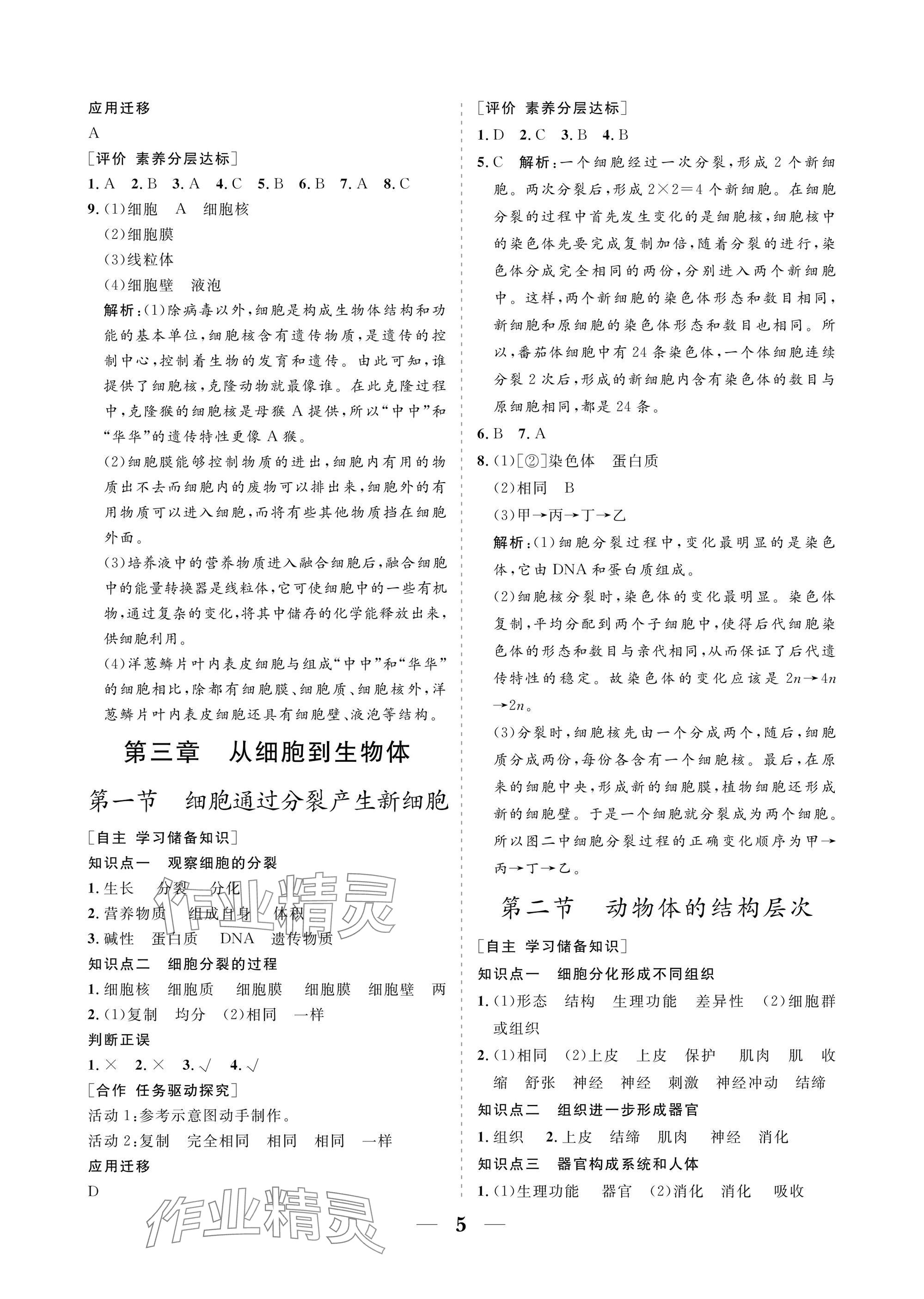2025年配套综合练习甘肃七年级生物上册人教版 参考答案第5页